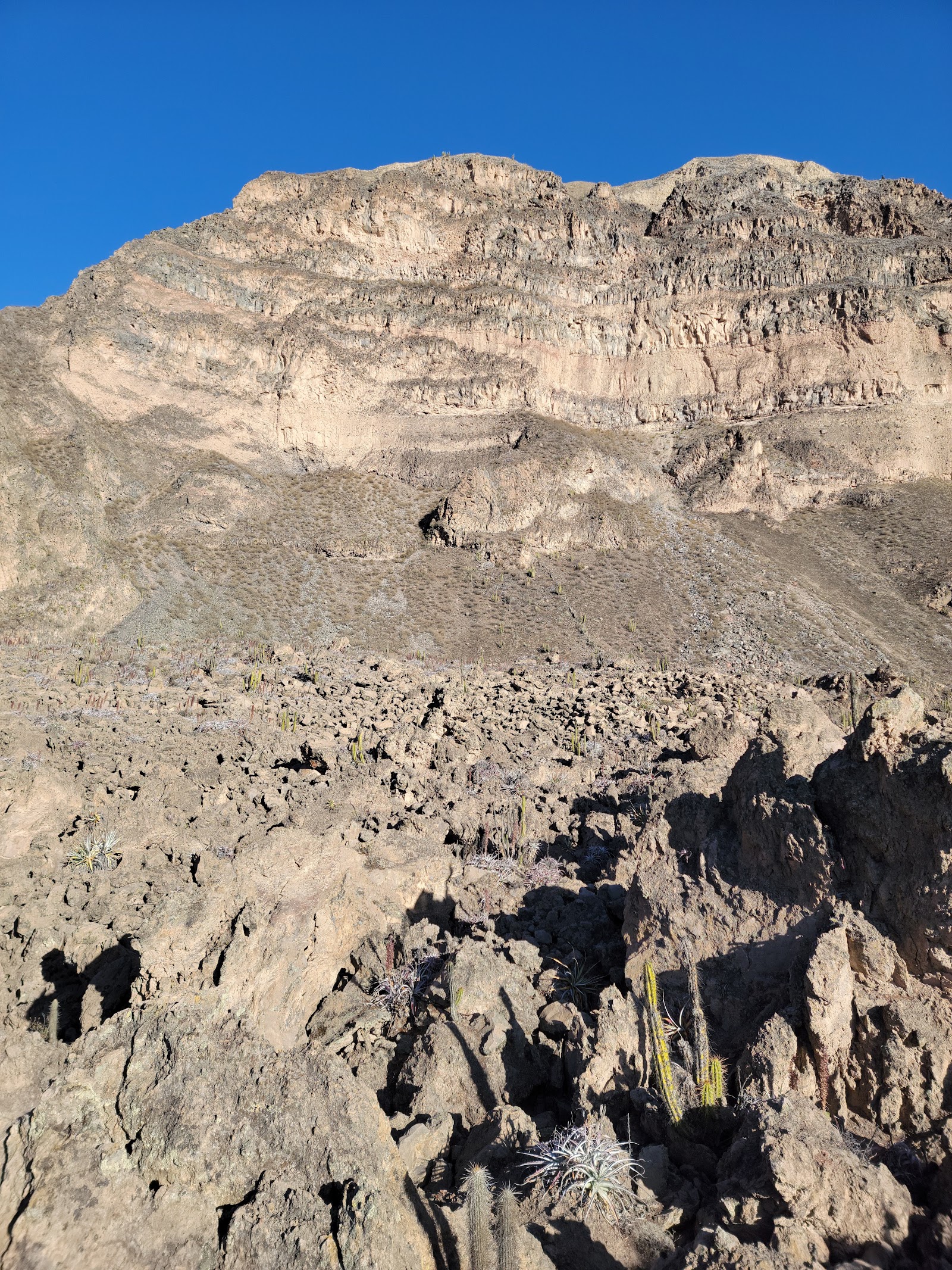 Volcanic cones and lava flows of the Andagua Volcanic Field — Oficiais