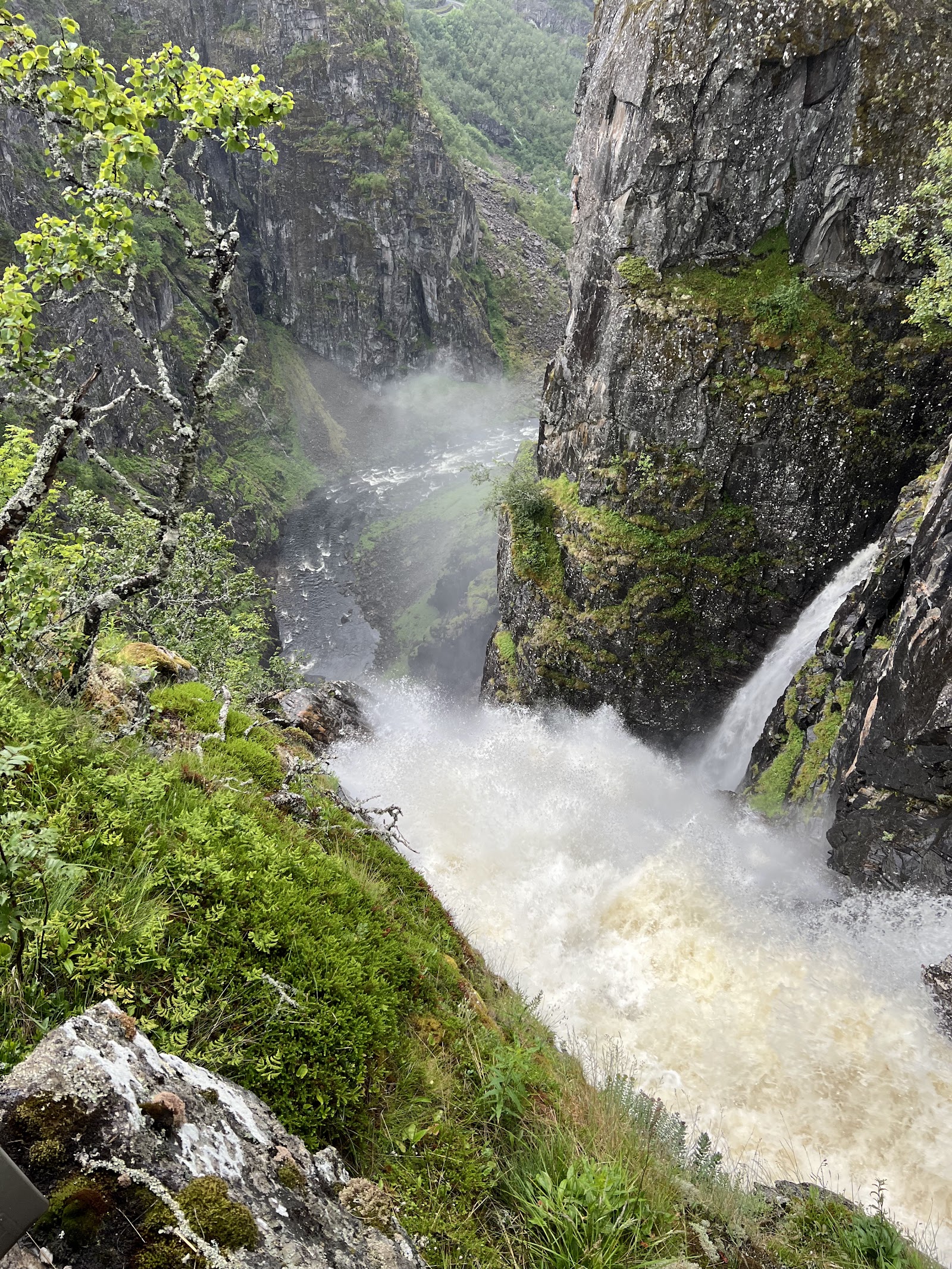 Vřringfossen — Oficiais