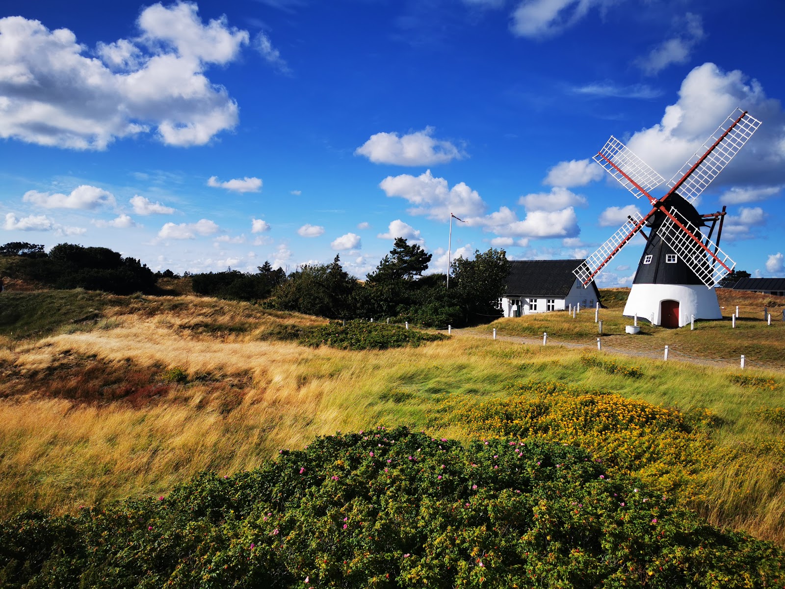 Wadden Sea National Park — Oficiais