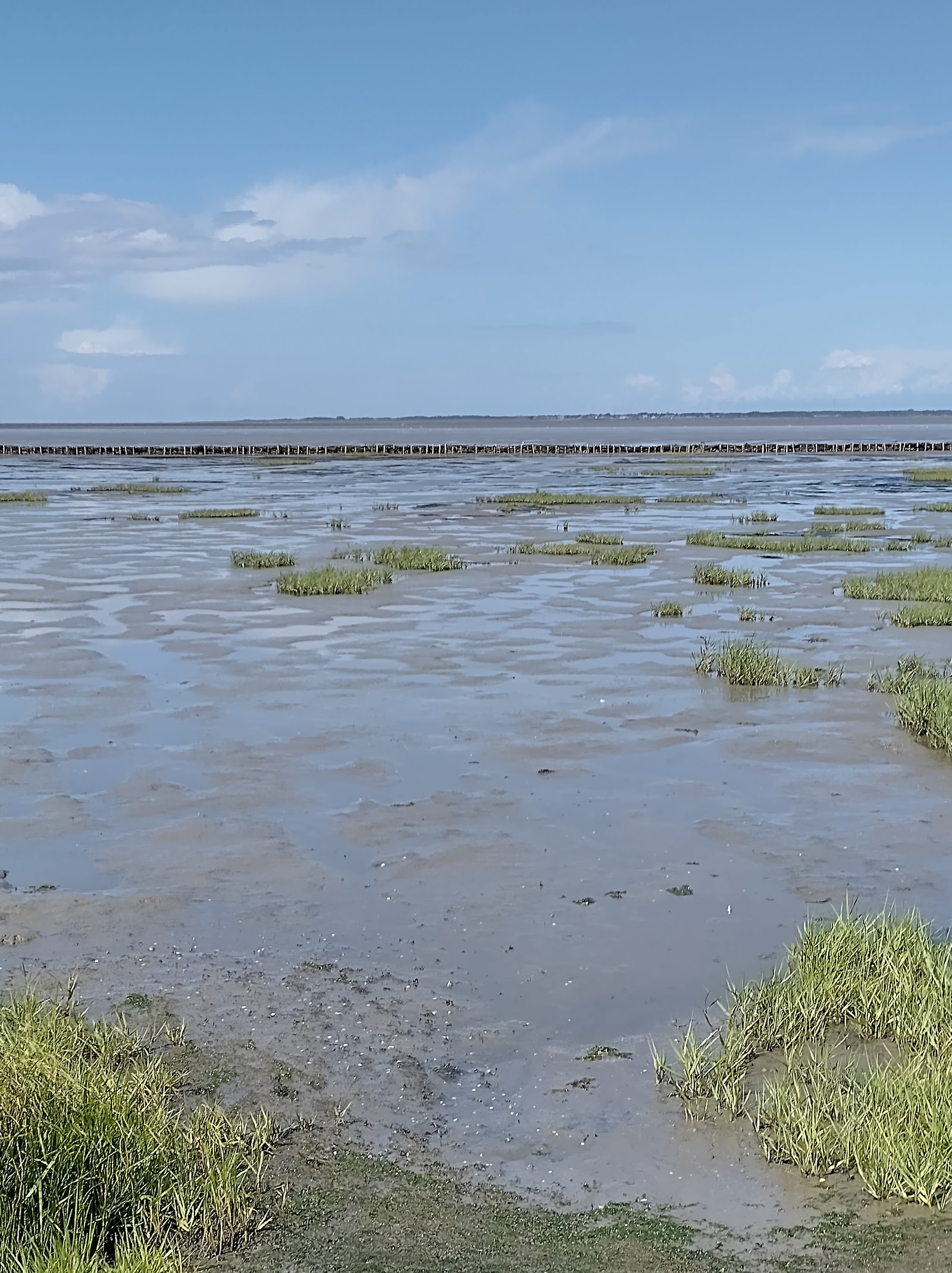 Wadden Sea National Park — Oficiais