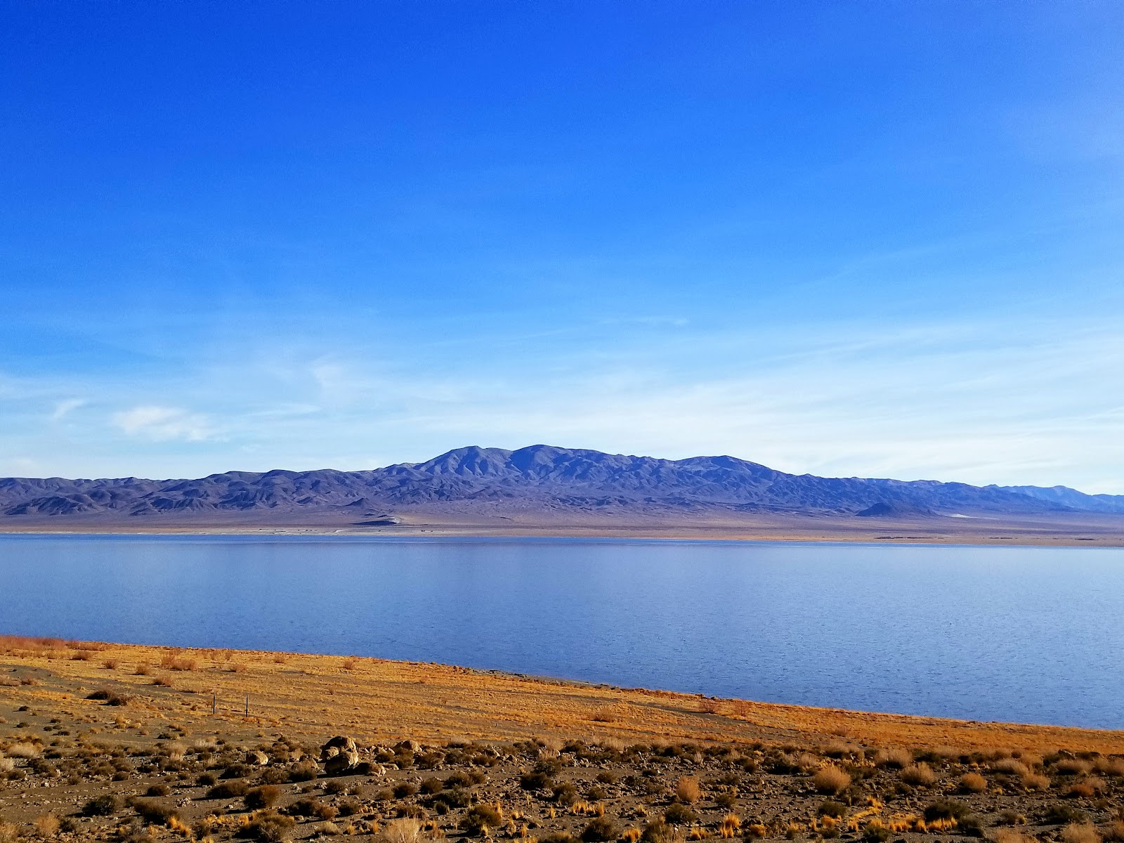 Walker Lake