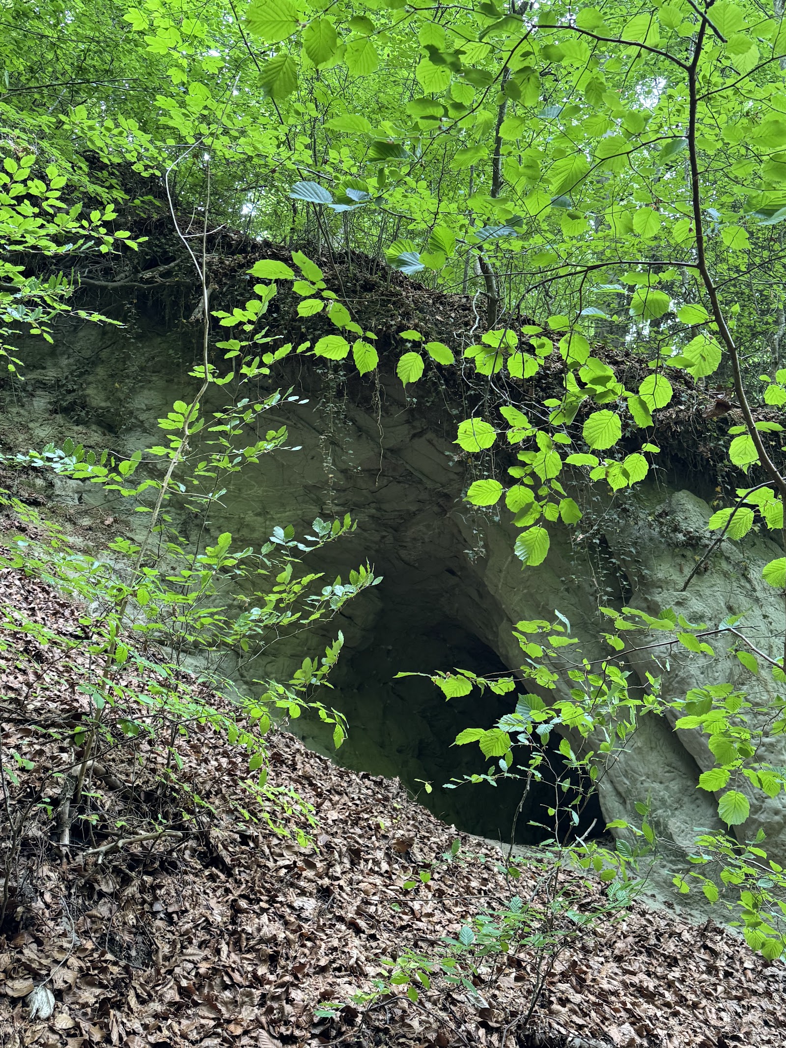 Wasserfall am Höchsten — Oficiais