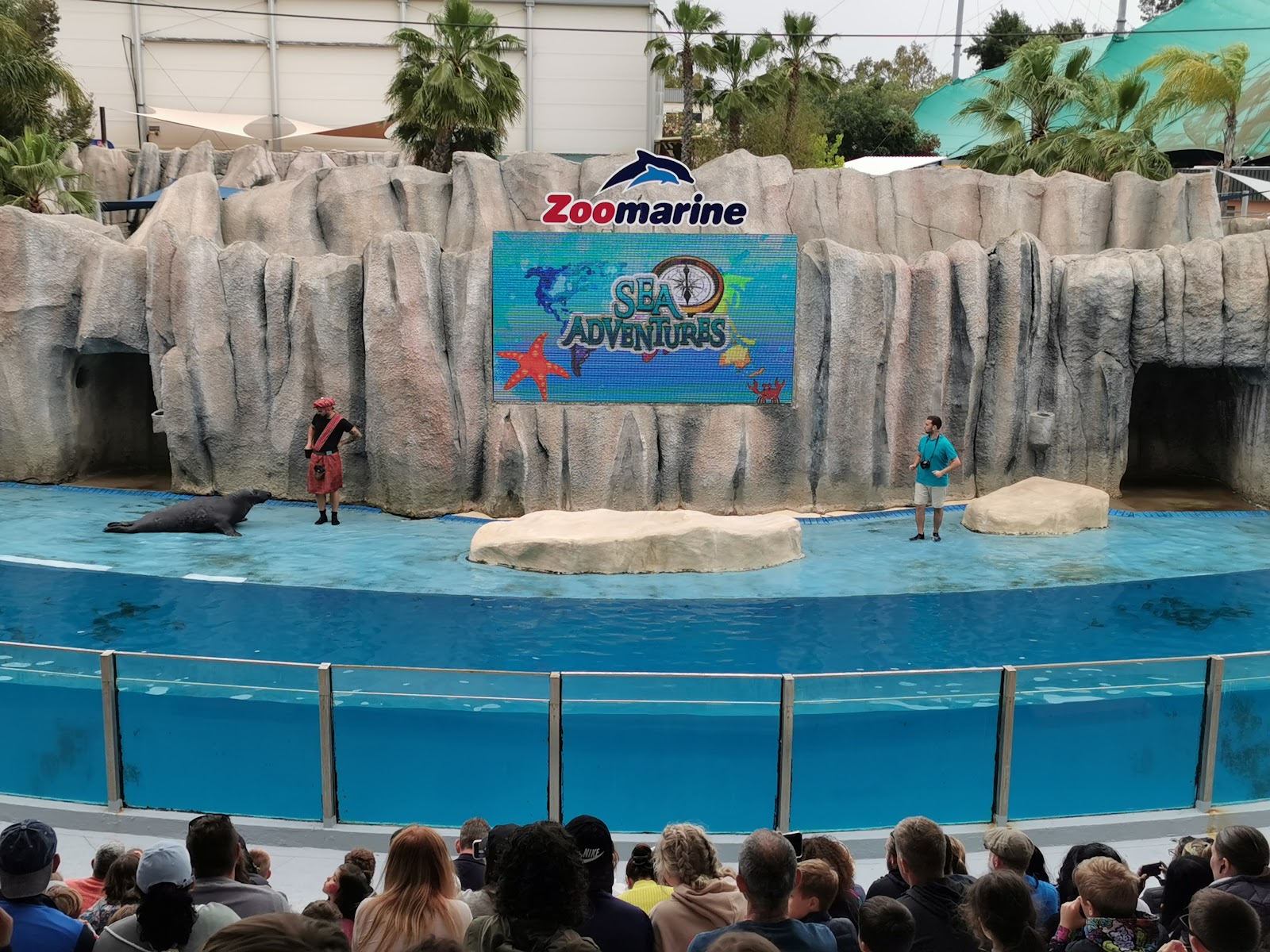 Wave Pool — Oficiais