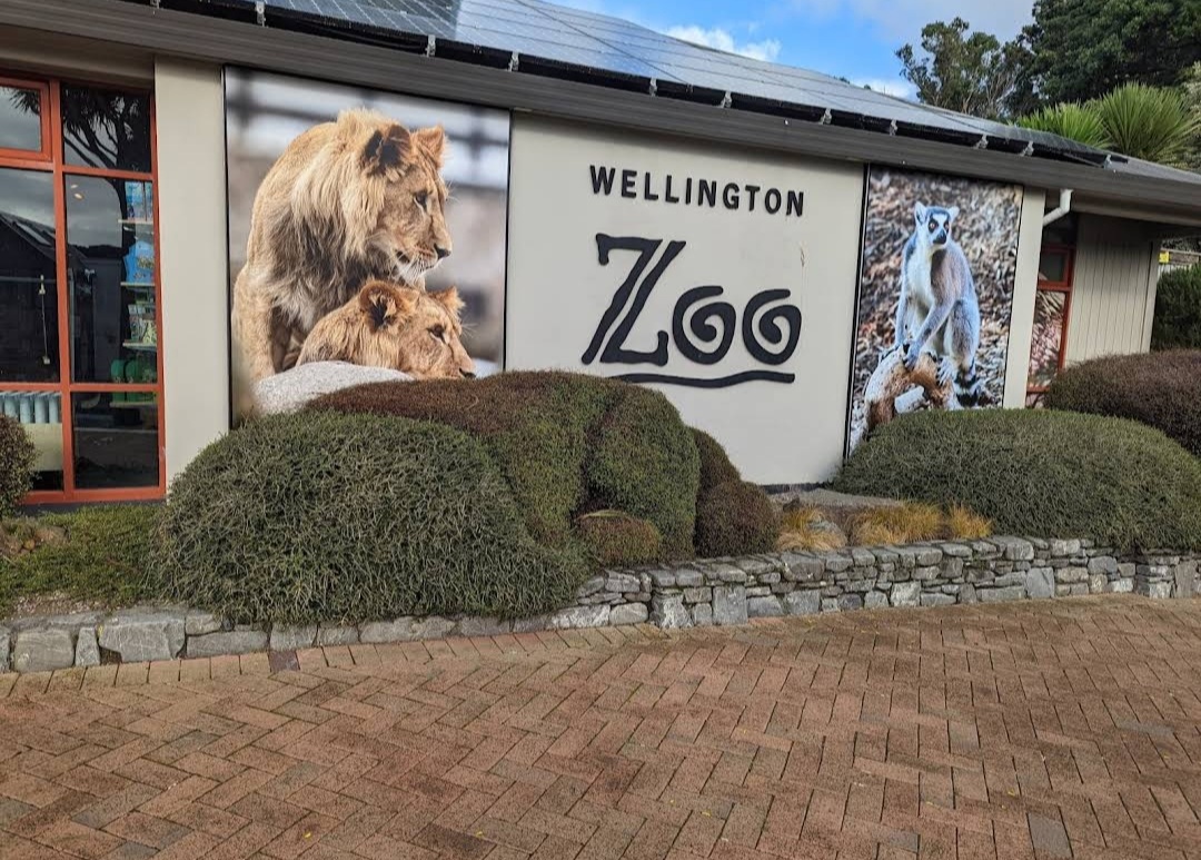 Wellington Zoo — Oficiais