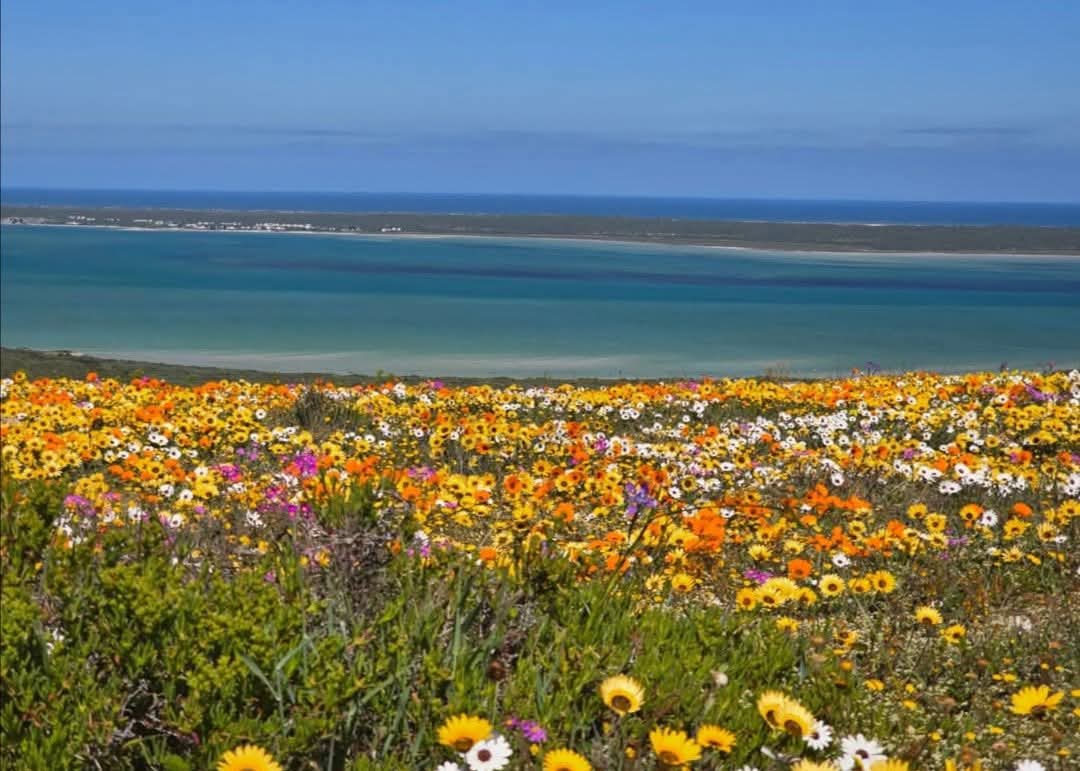 West Coast National Park — Oficiais