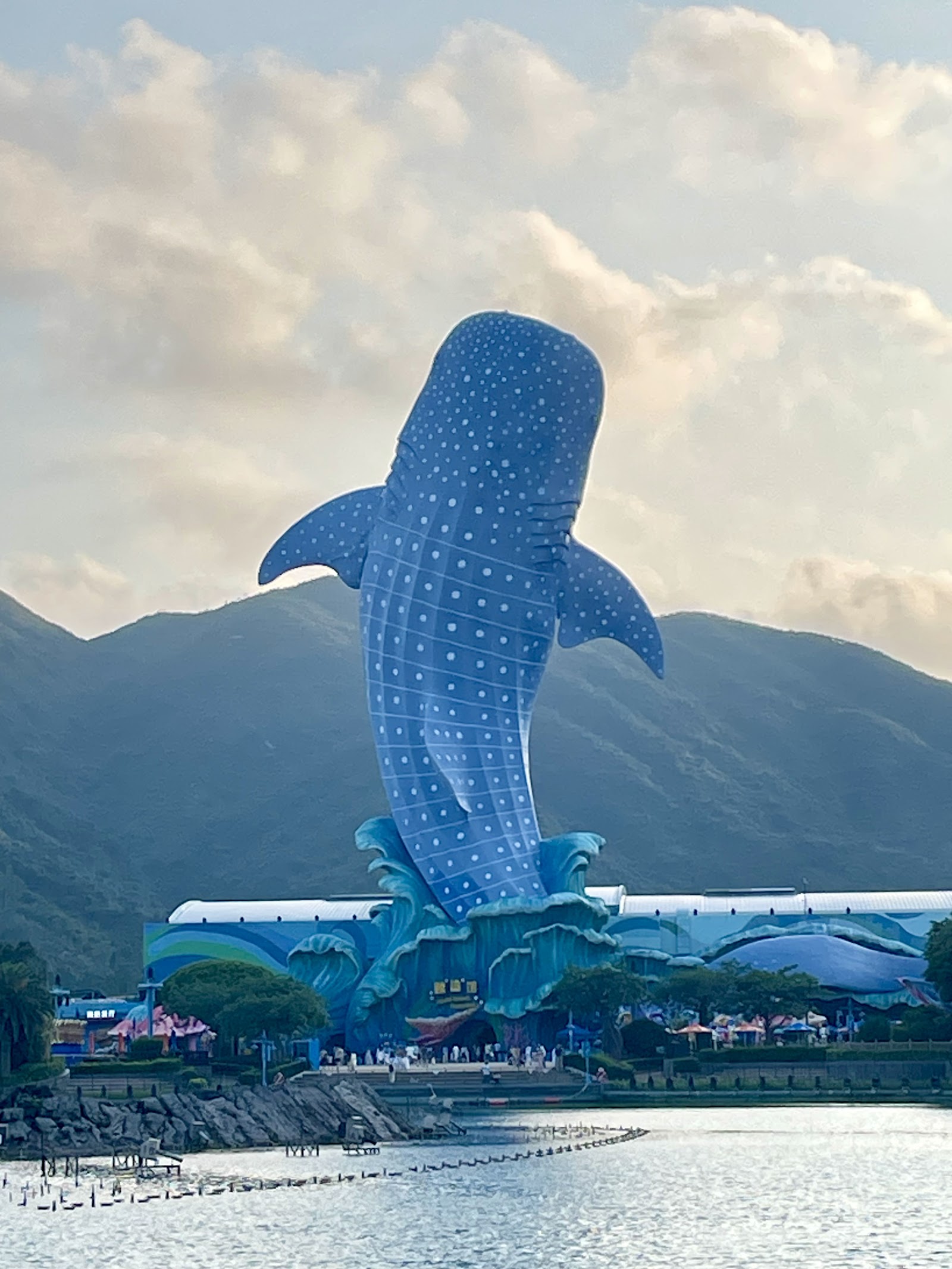 Whale Shark Buffet