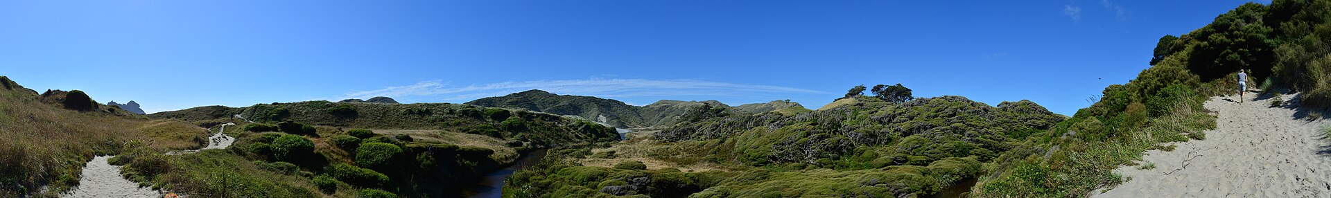 Wharariki Beach Track
