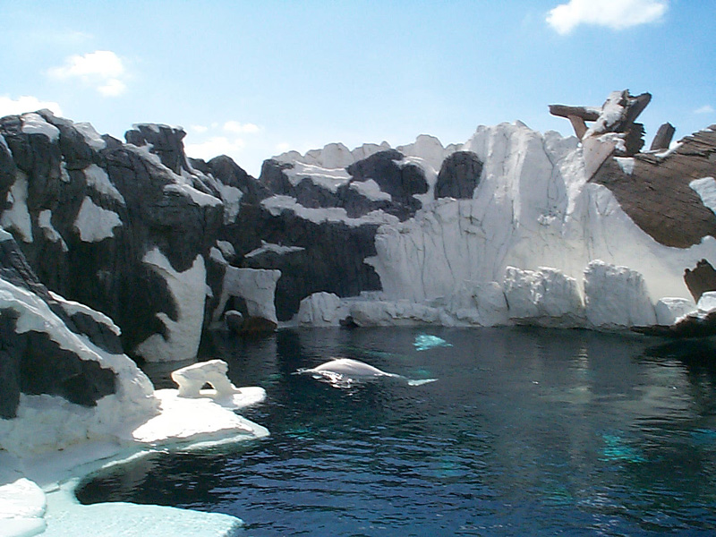 Wild Arctic — Oficiais