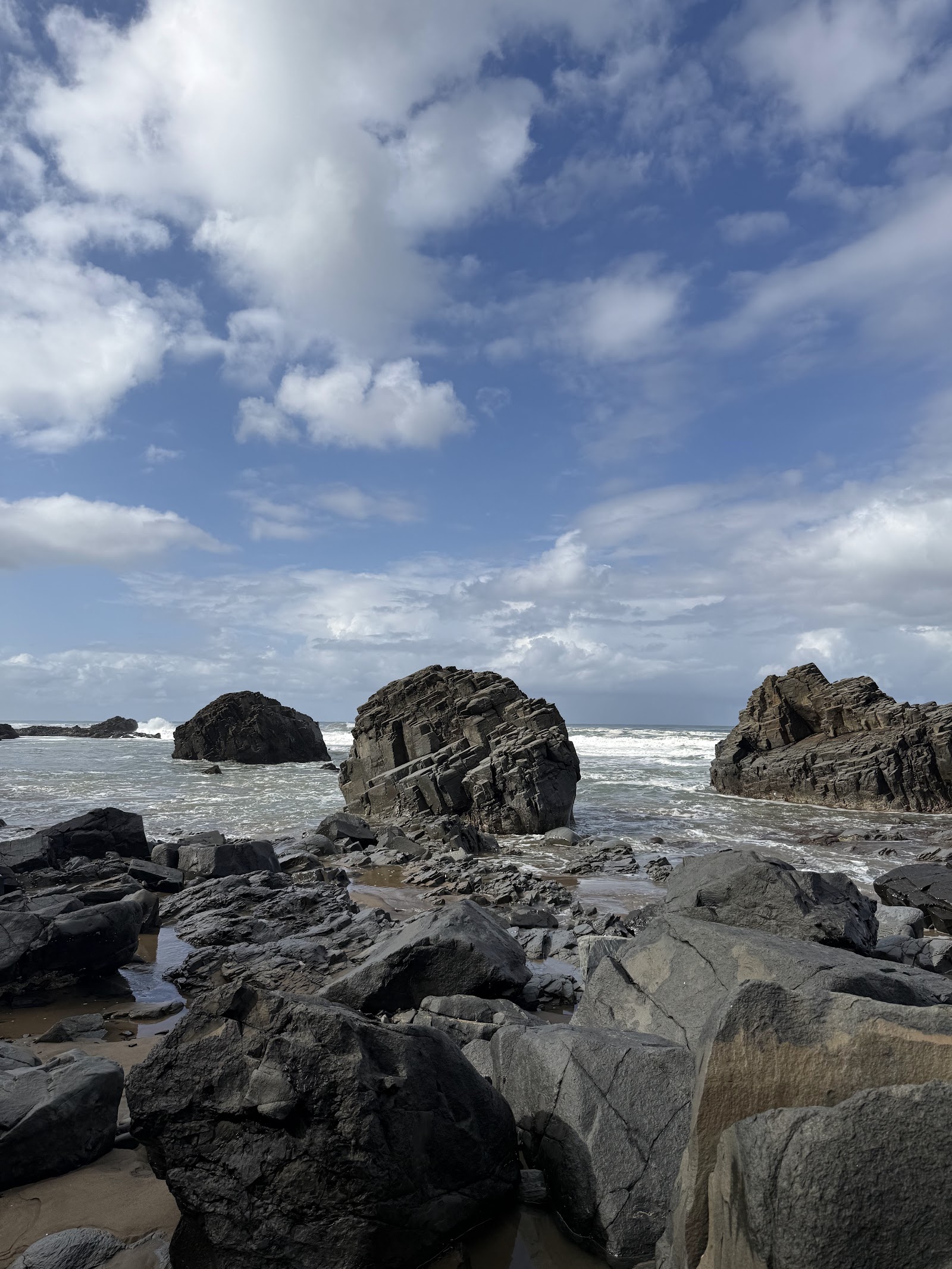 Wild Coast