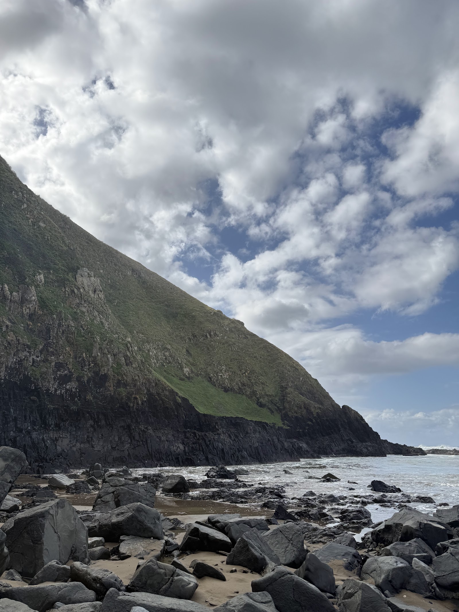 Wild Coast — Oficiais