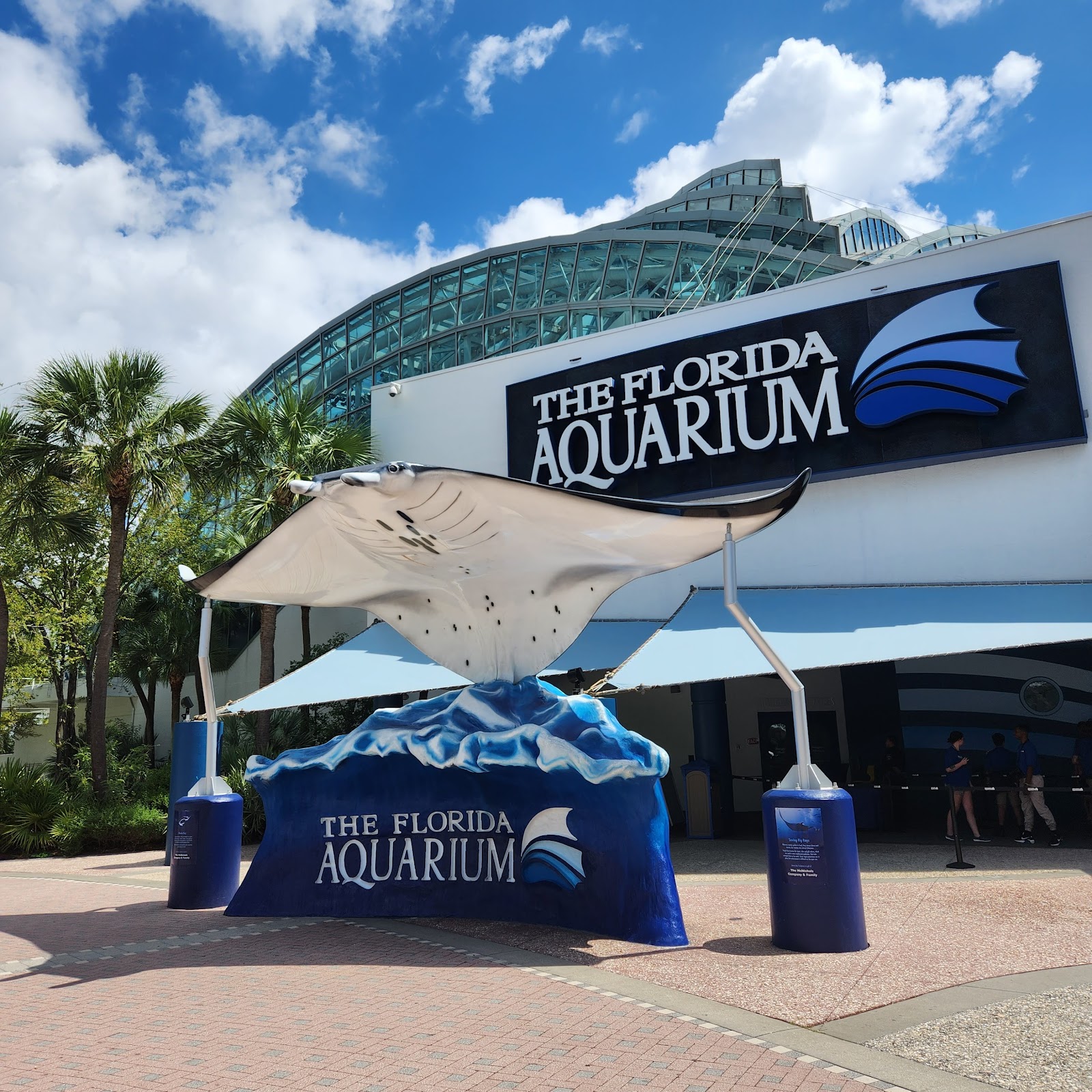 Wild Dolphin Cruise — Oficiais