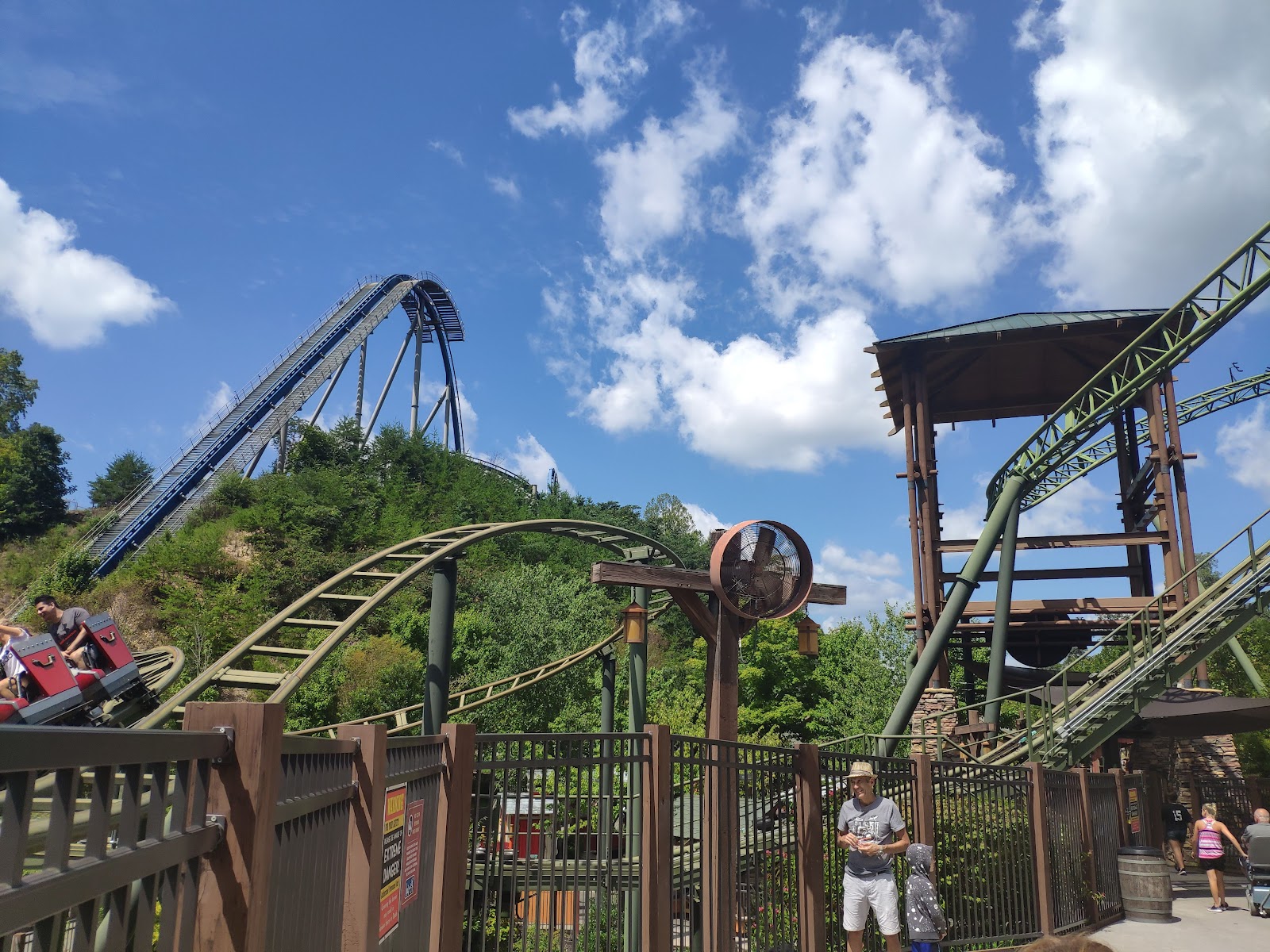 Wild Eagle