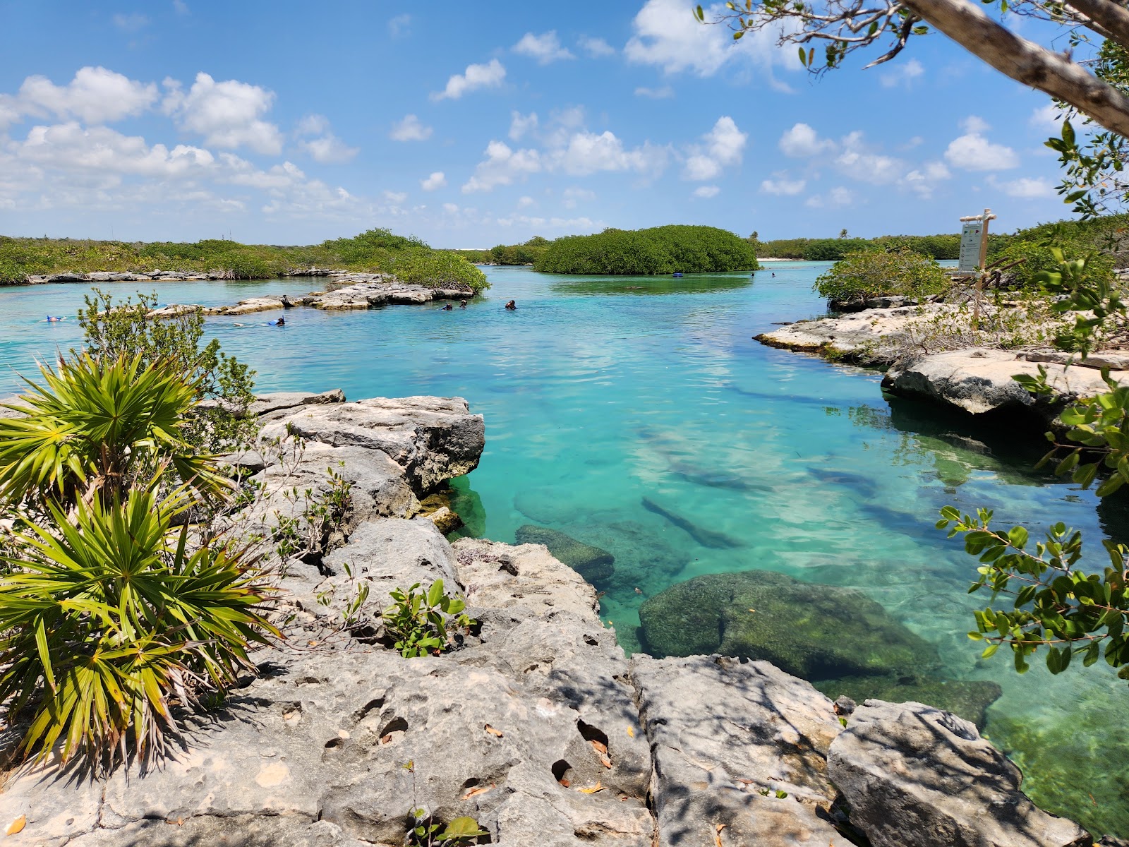 YAL-KU CENOTE Y Laguna Yalku — Oficiais