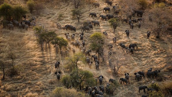Zakouma National Park — Oficiais
