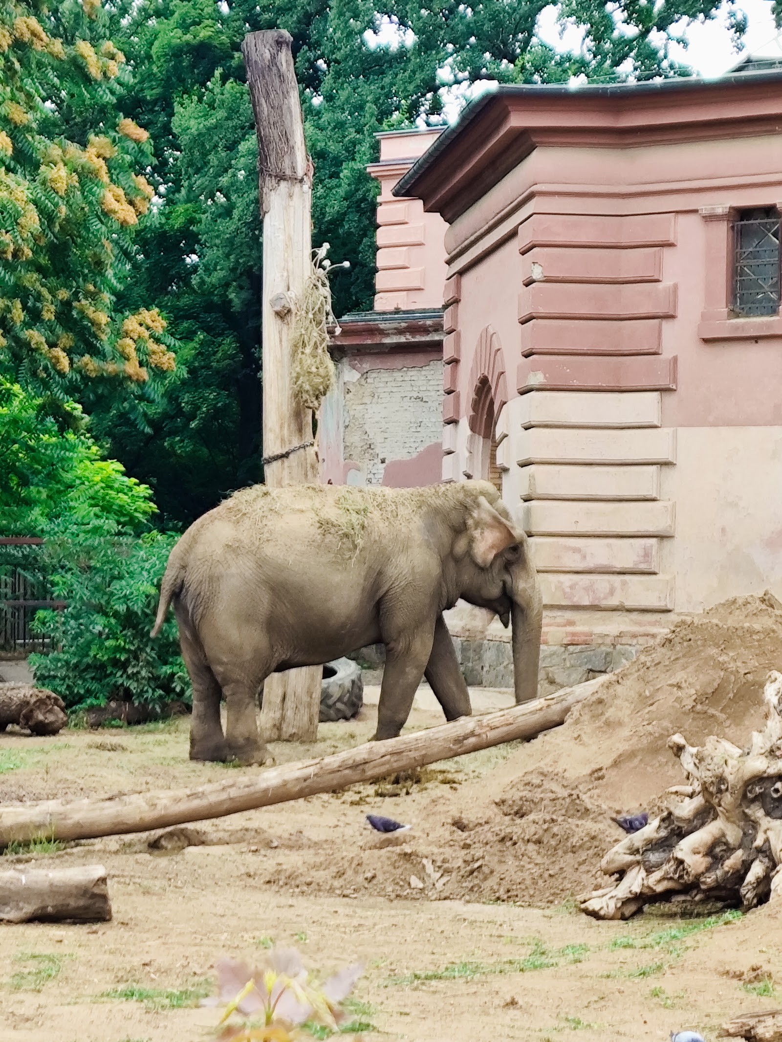 ZOO — Oficiais