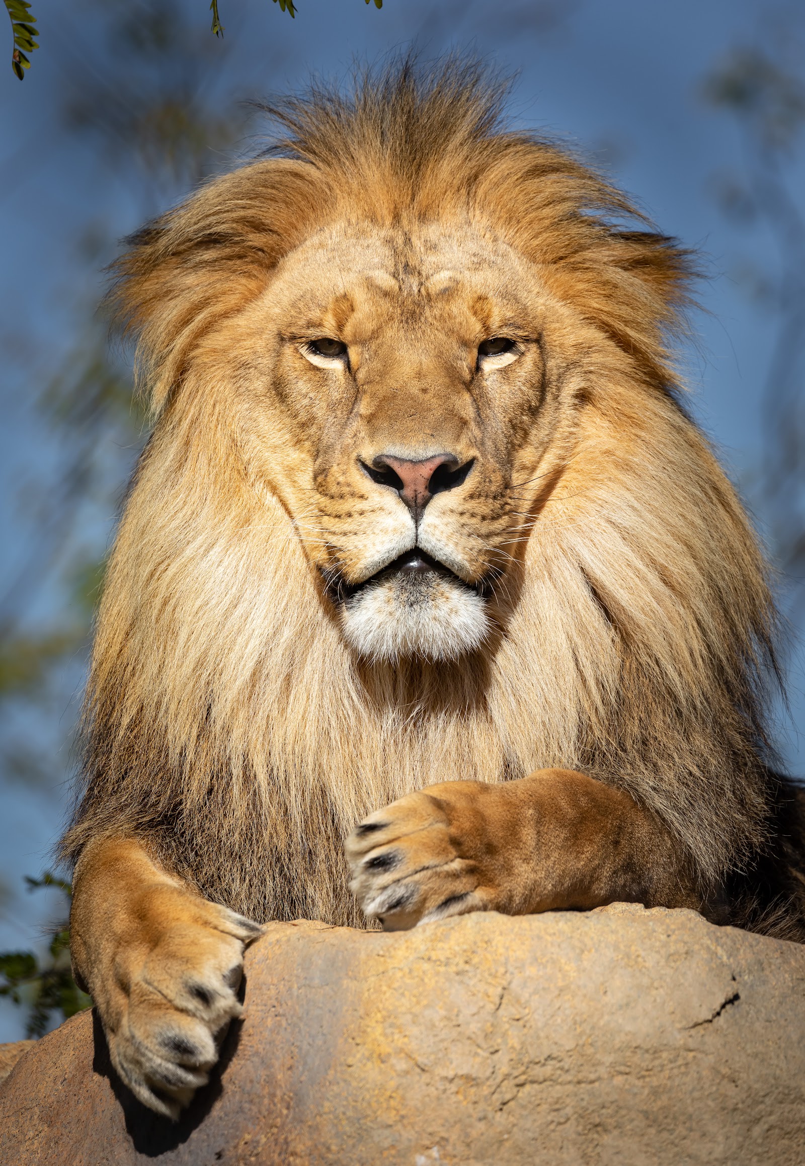 Zoo de Granby