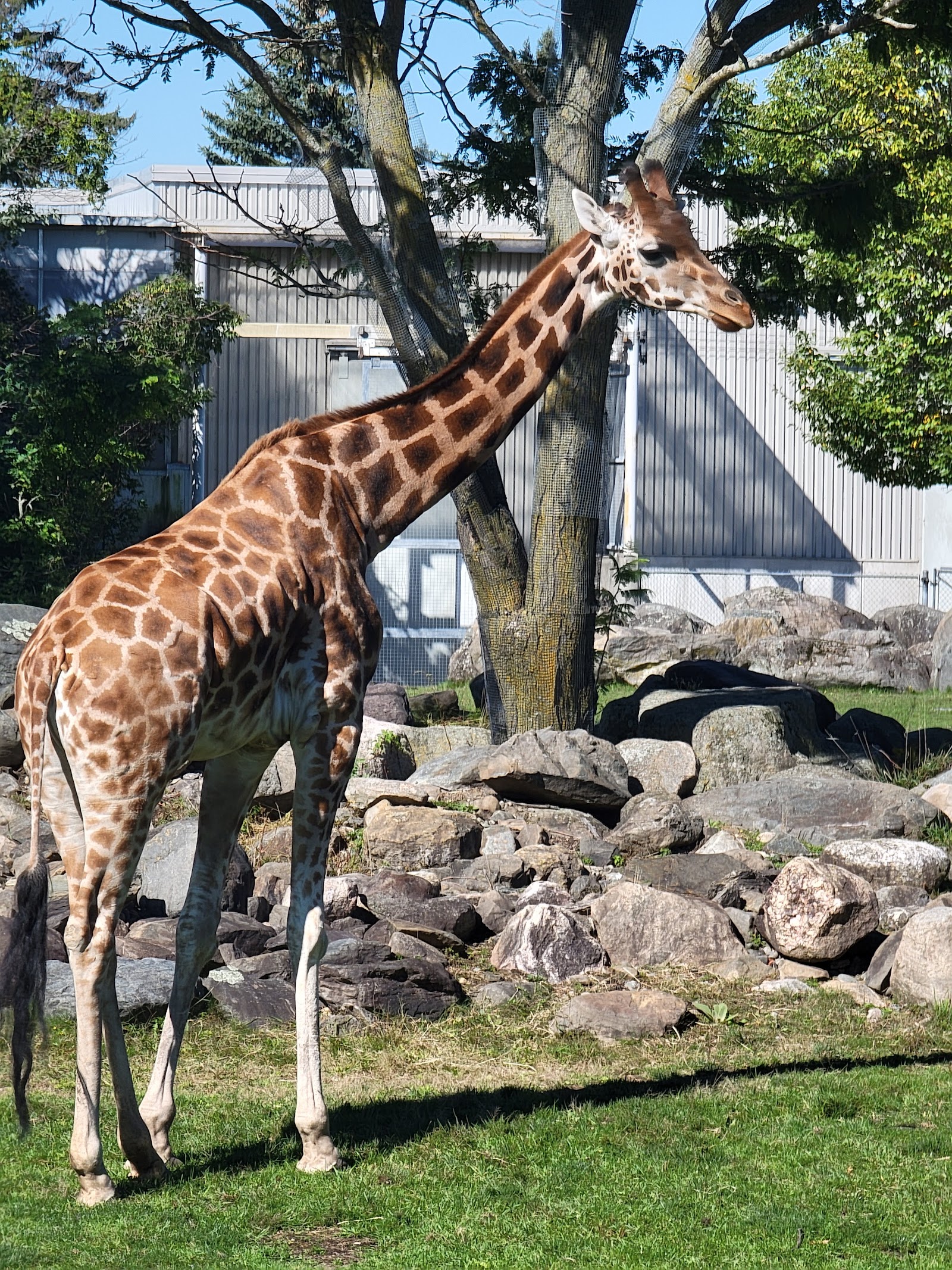 Zoo de Granby — Oficiais