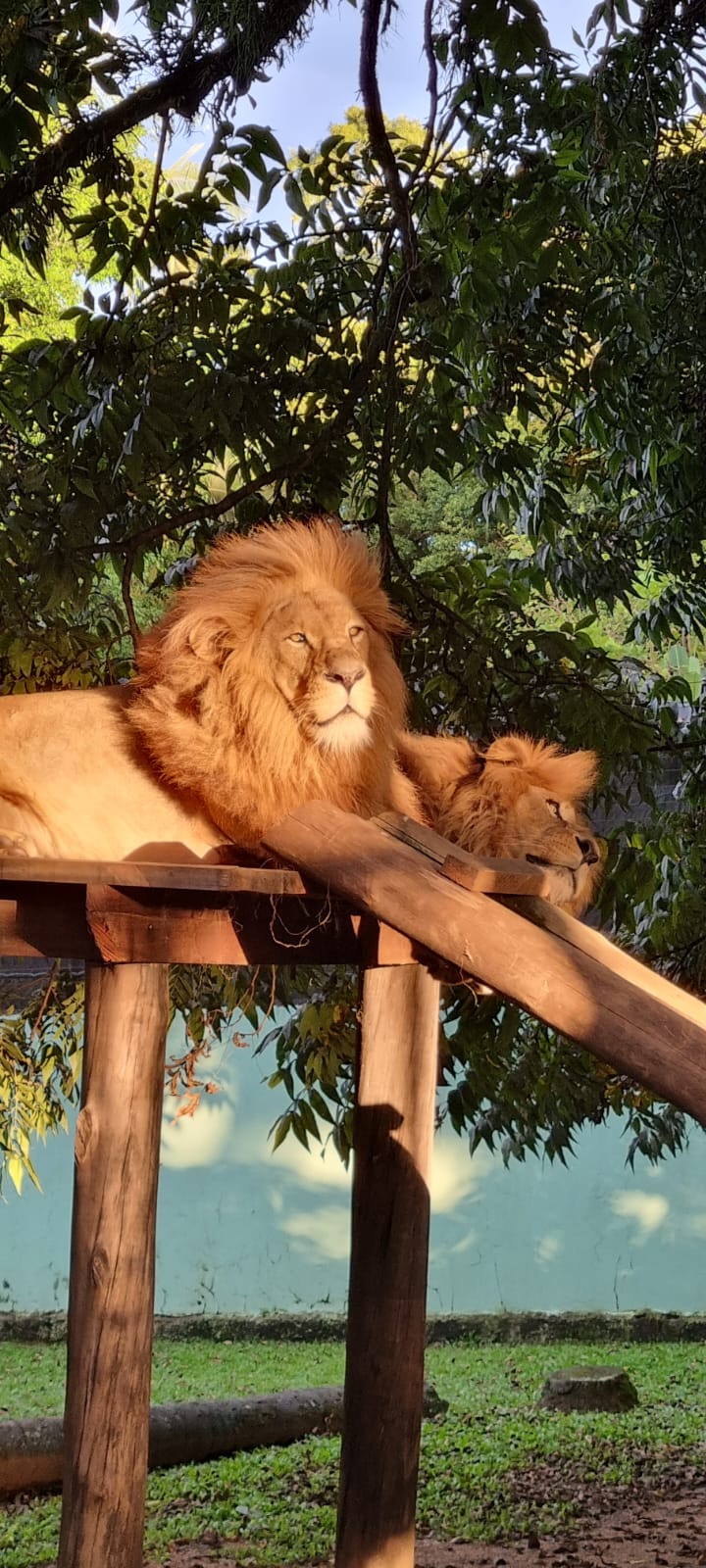 Zoo Pomerode