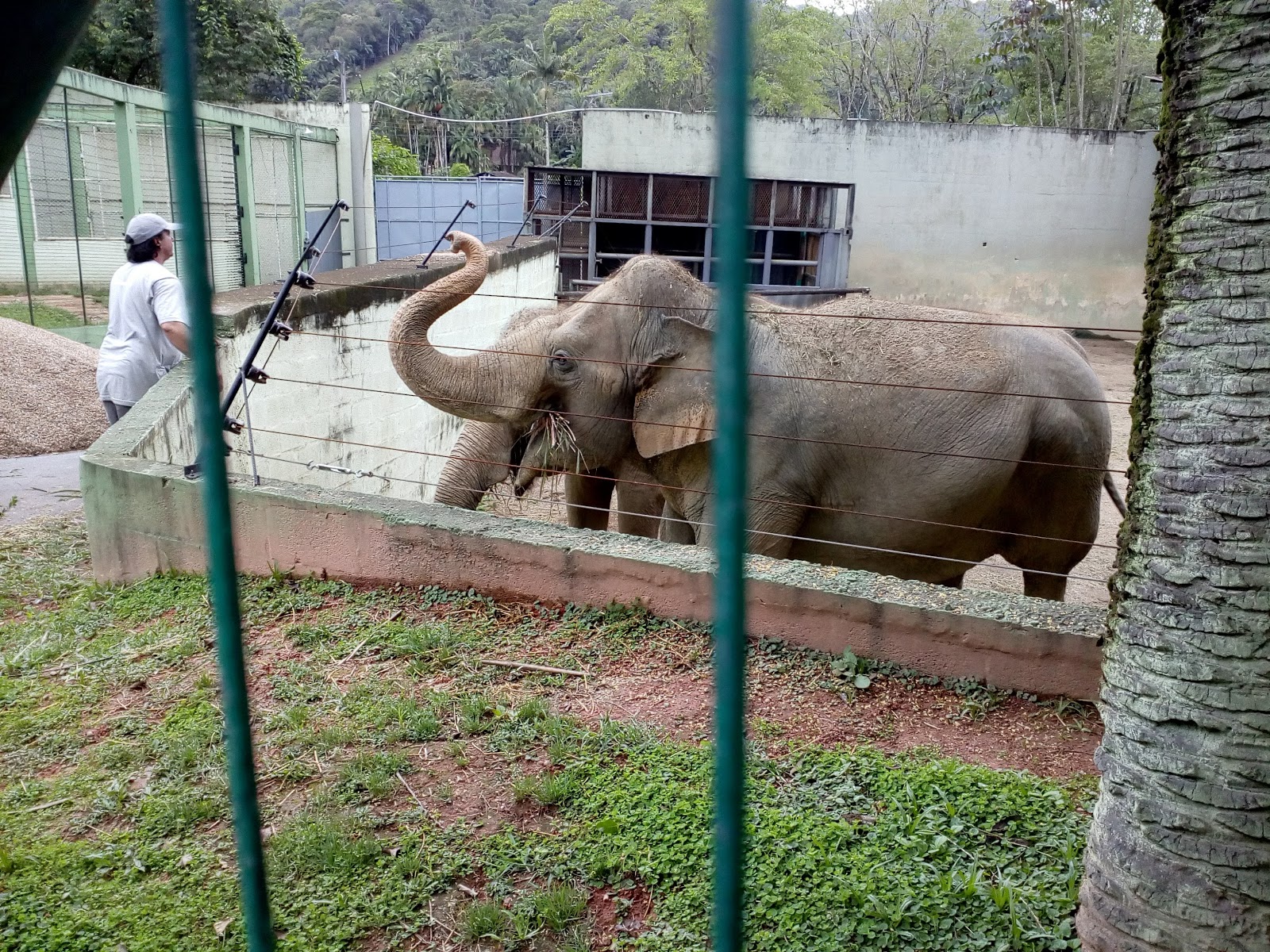 Zoo Pomerode — Oficiais