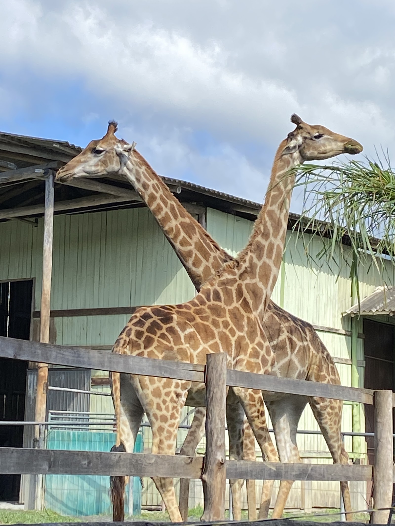 Zoo Pomerode — Oficiais