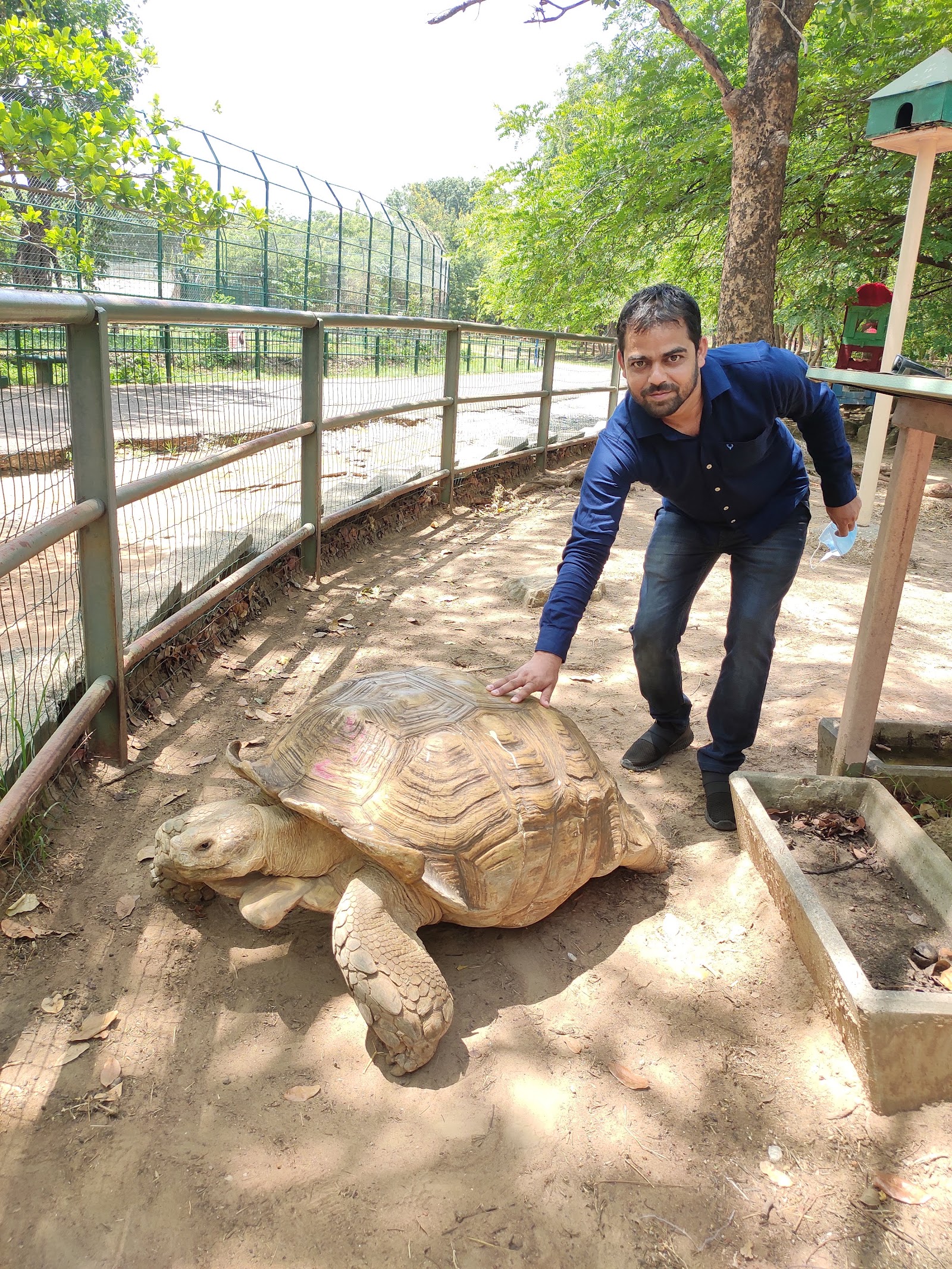 Zoological park — Oficiais