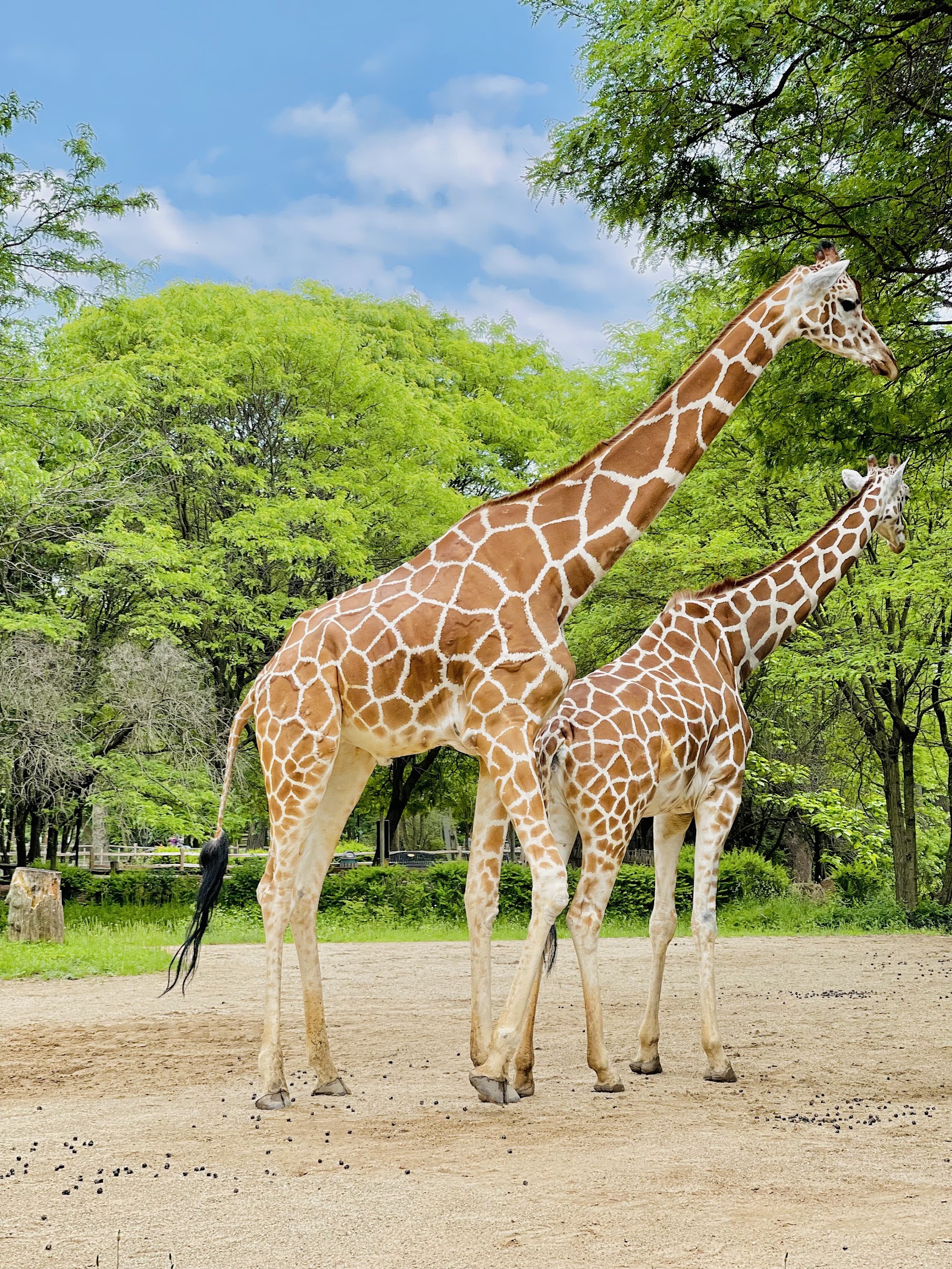 Zoológico Brookfield — Oficiais