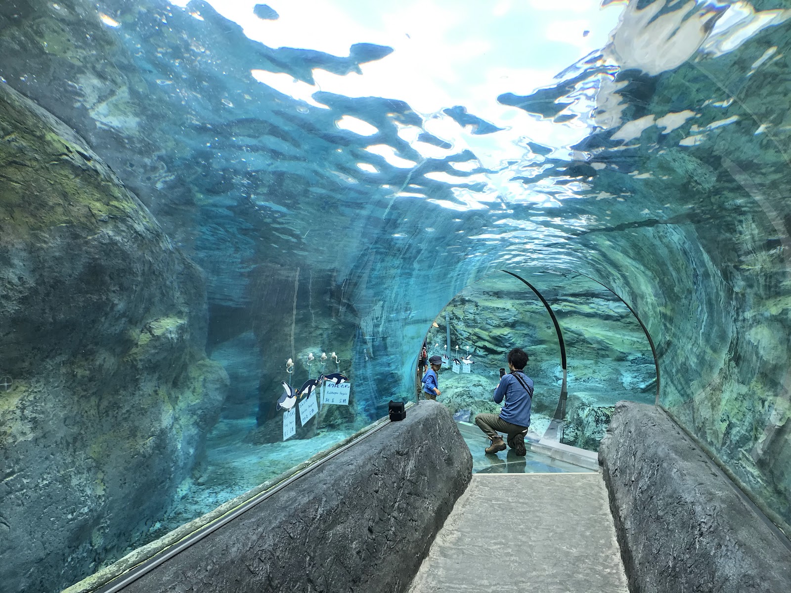 Zoológico de Asahiyama — Oficiais
