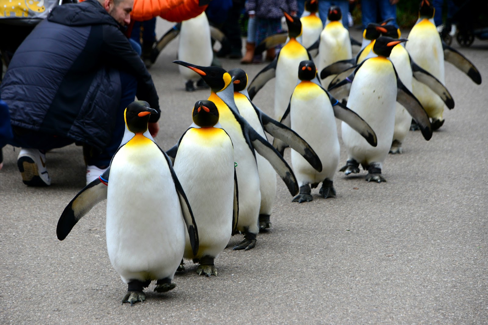 Zoológico de Basileia