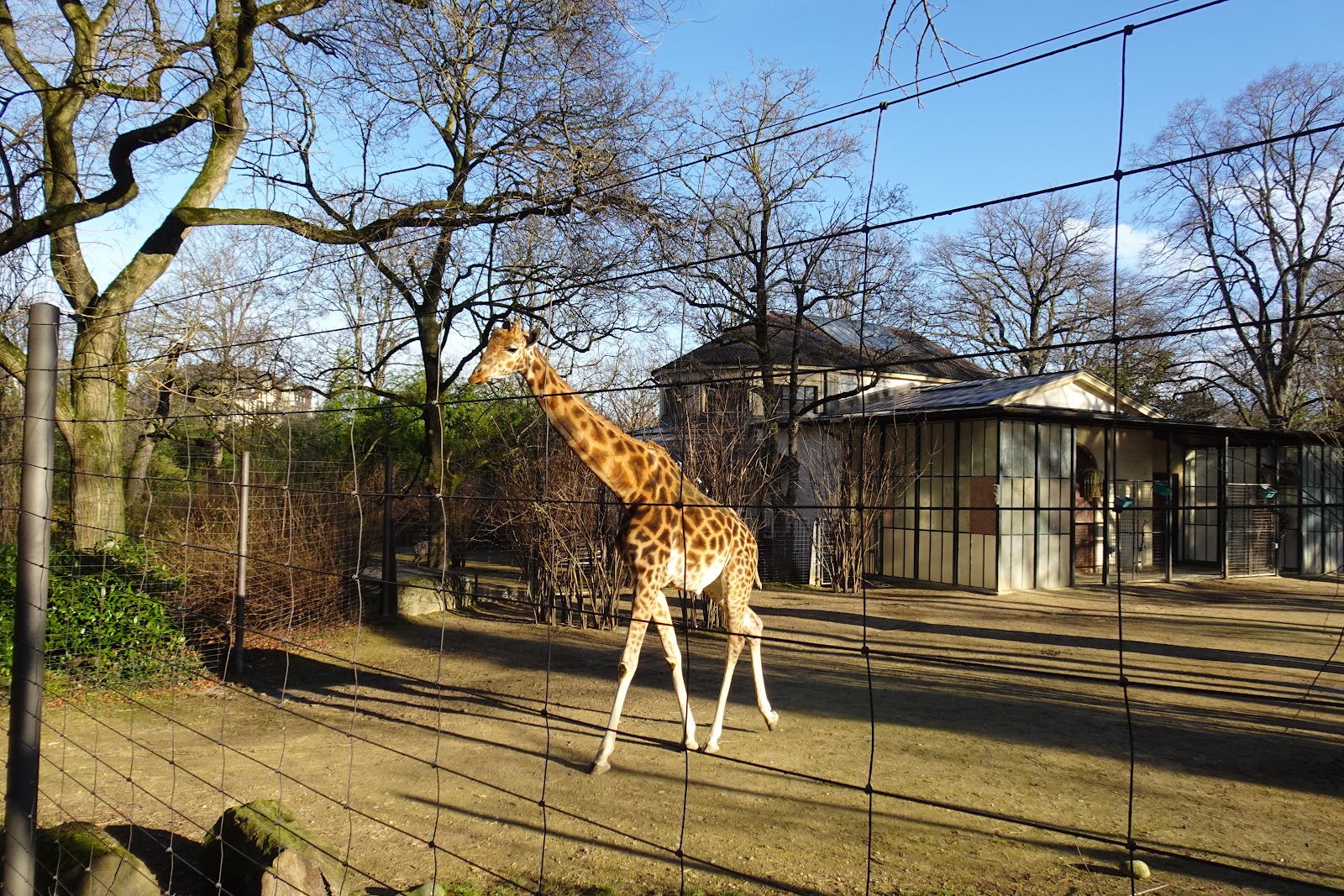 Zoológico de Basileia — Oficiais