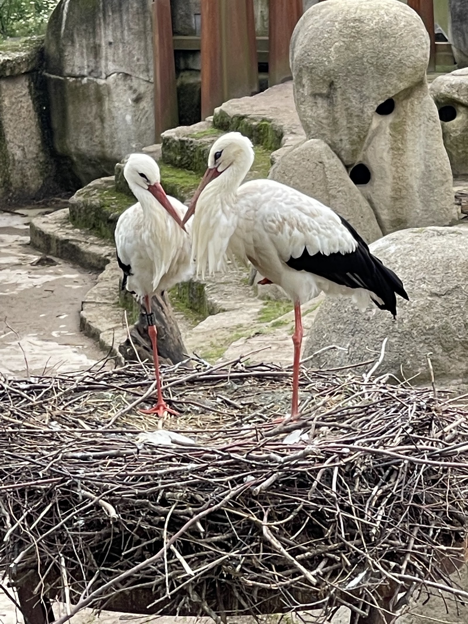Zoológico de Basileia — Oficiais