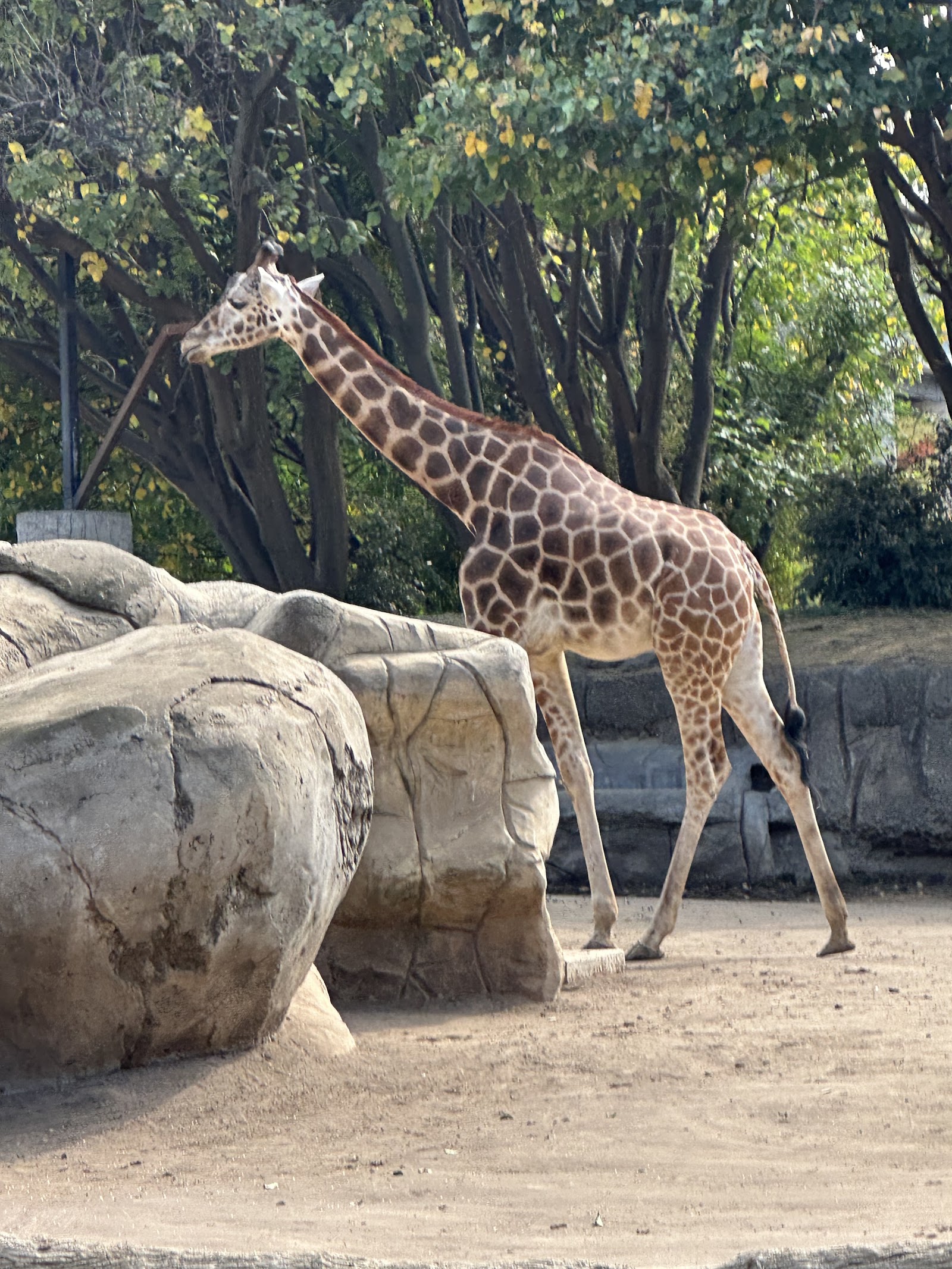 Zoológico de Chapultepec