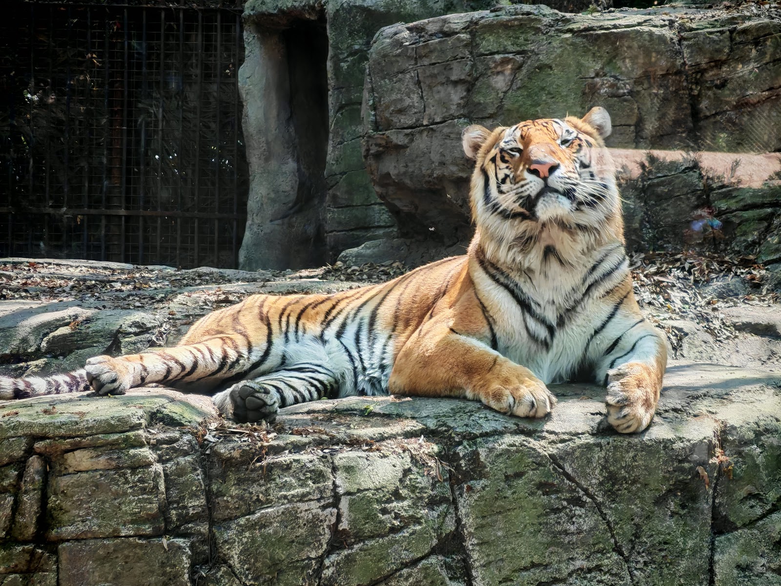 Zoológico de Chapultepec — Oficiais