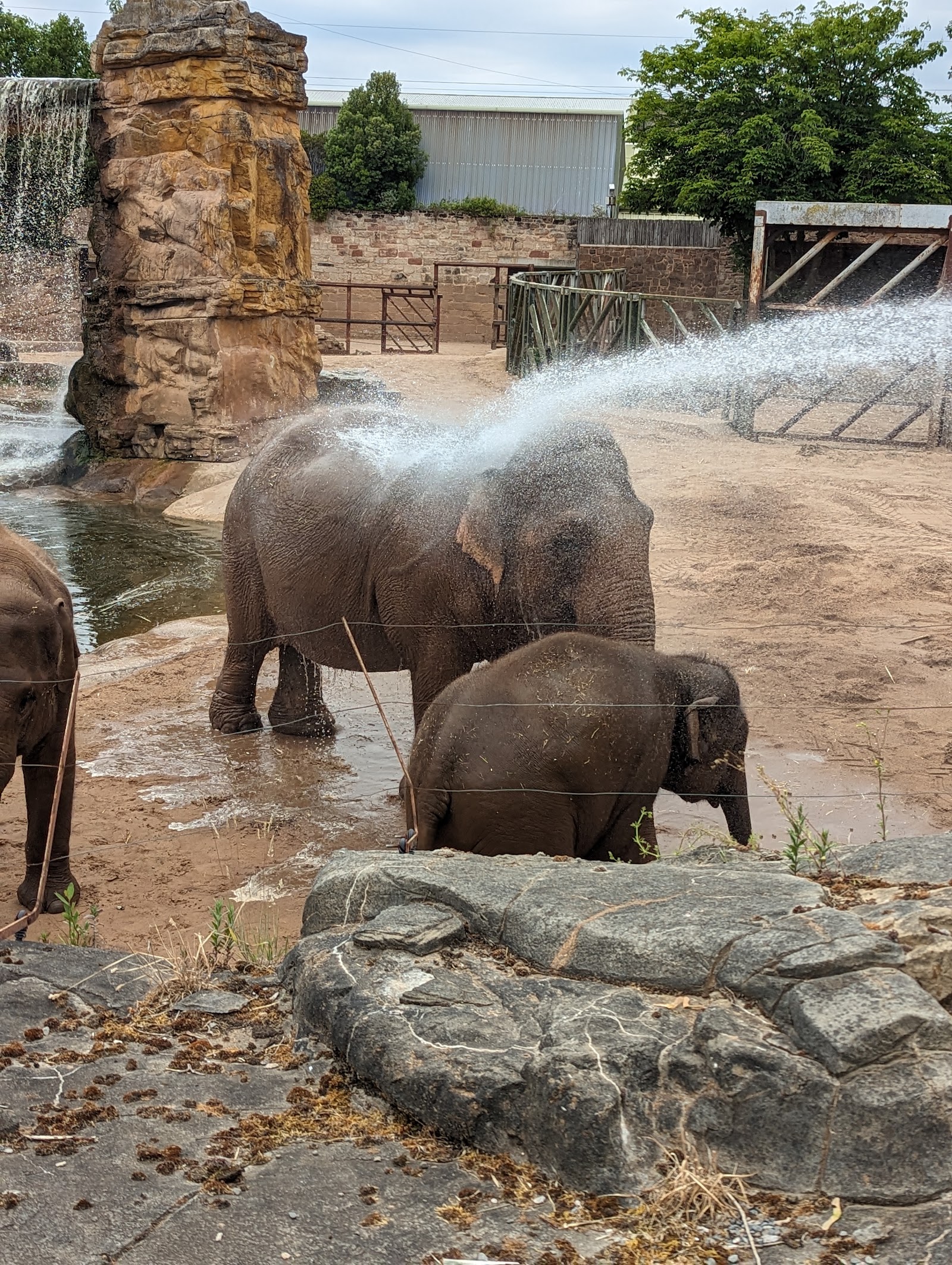 Zoológico de Chester