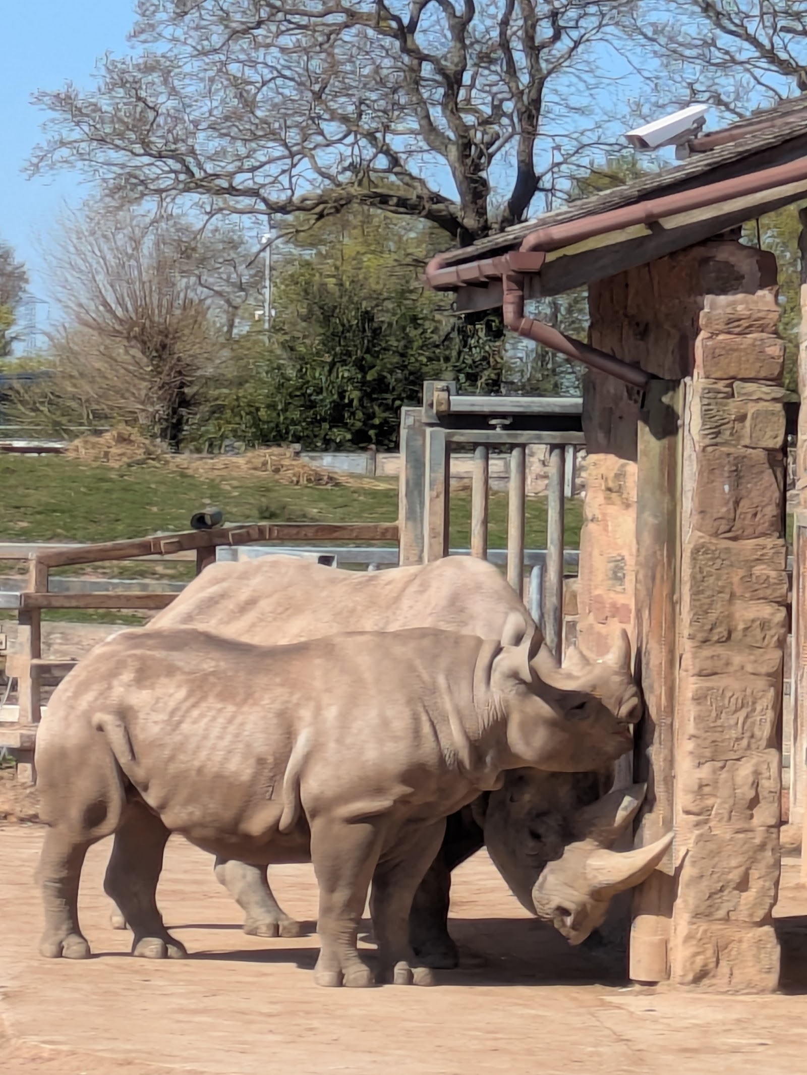 Zoológico de Chester — Oficiais