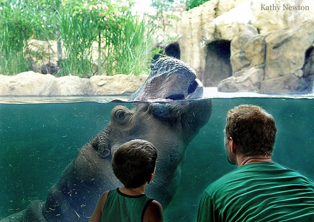 Zoológico de Cincinnati — Oficiais