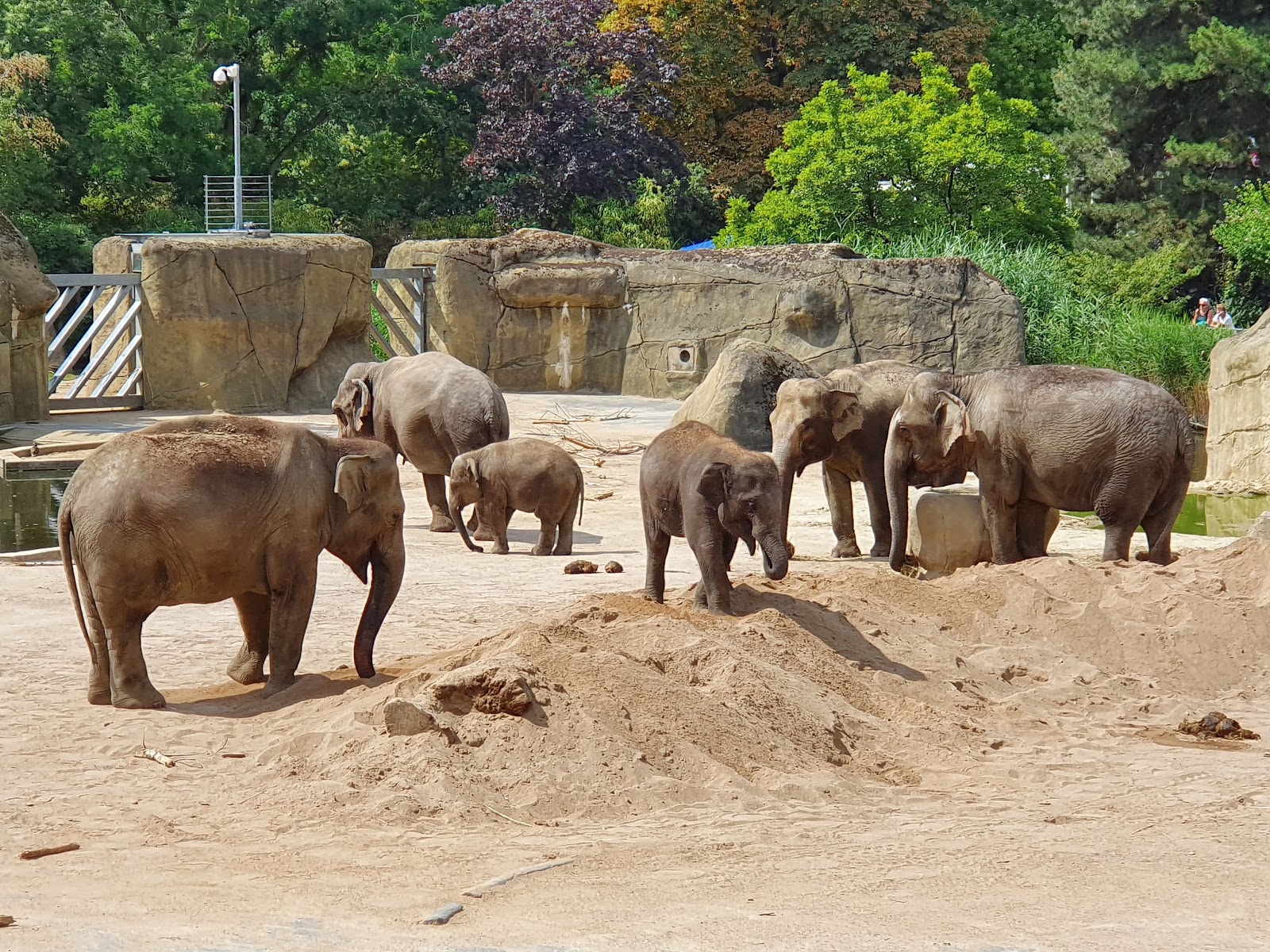 Zoológico de Colônia — Oficiais