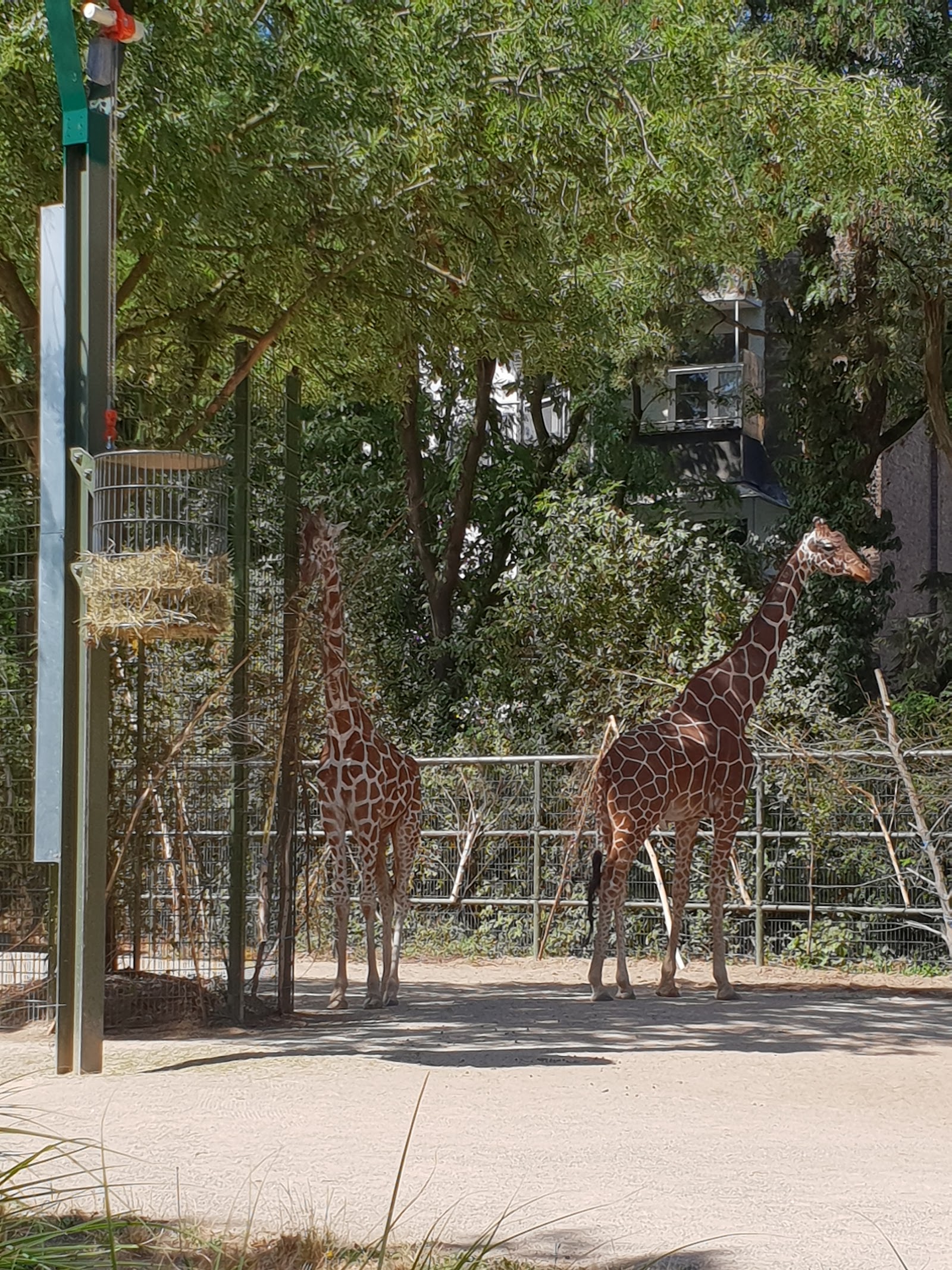 Zoológico de Colônia — Oficiais