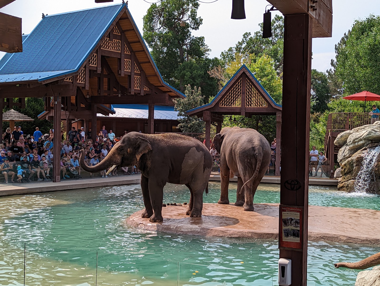 Zoológico de Denver