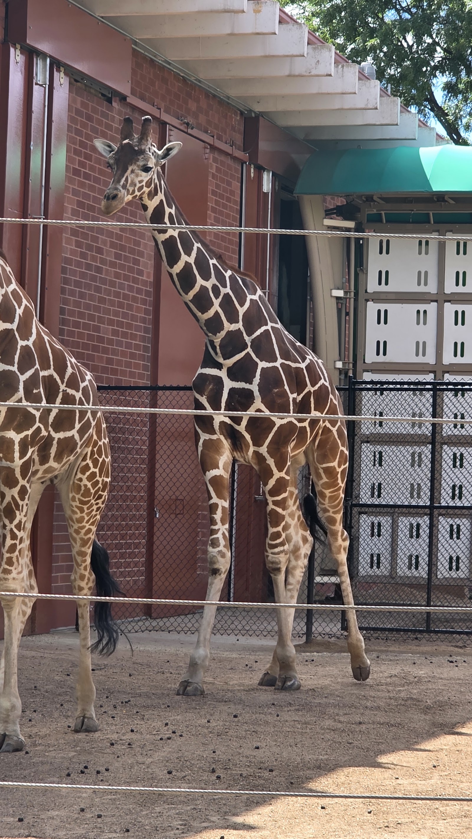 Zoológico de Denver — Oficiais