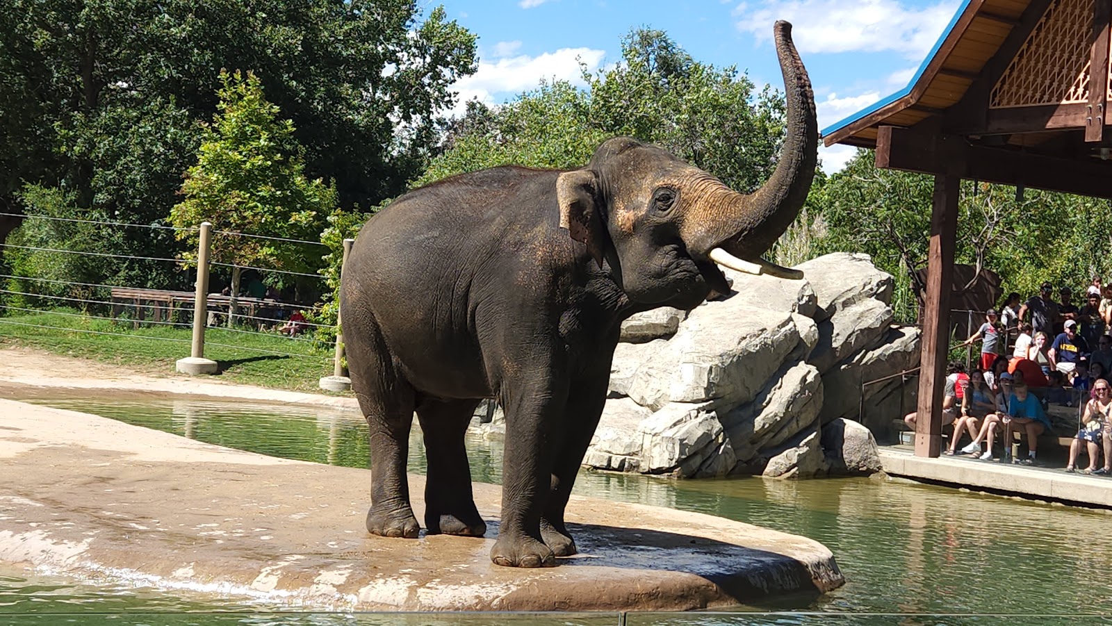 Zoológico de Denver — Oficiais