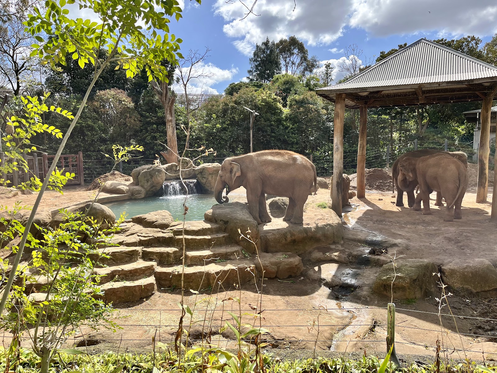Zoológico de Melbourne — Oficiais
