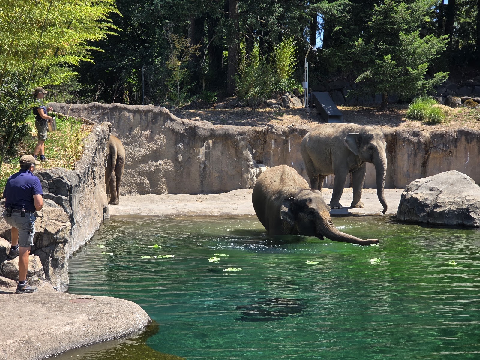 Zoológico de Oregon
