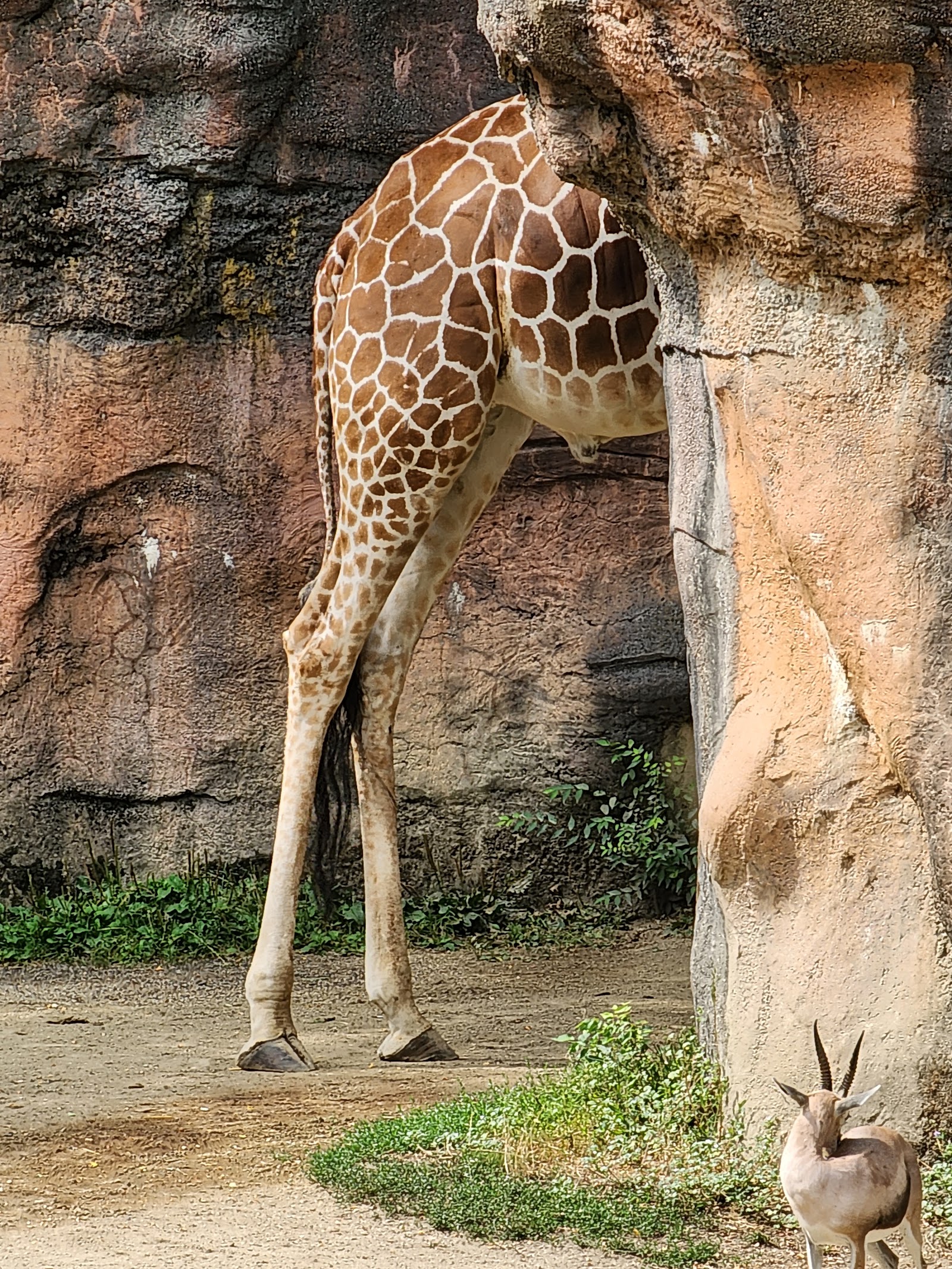 Zoológico de Oregon — Oficiais