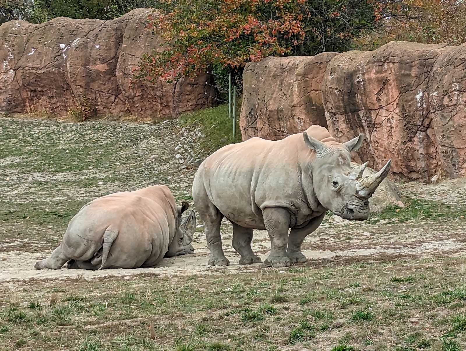 Zoológico de Toronto — Oficiais