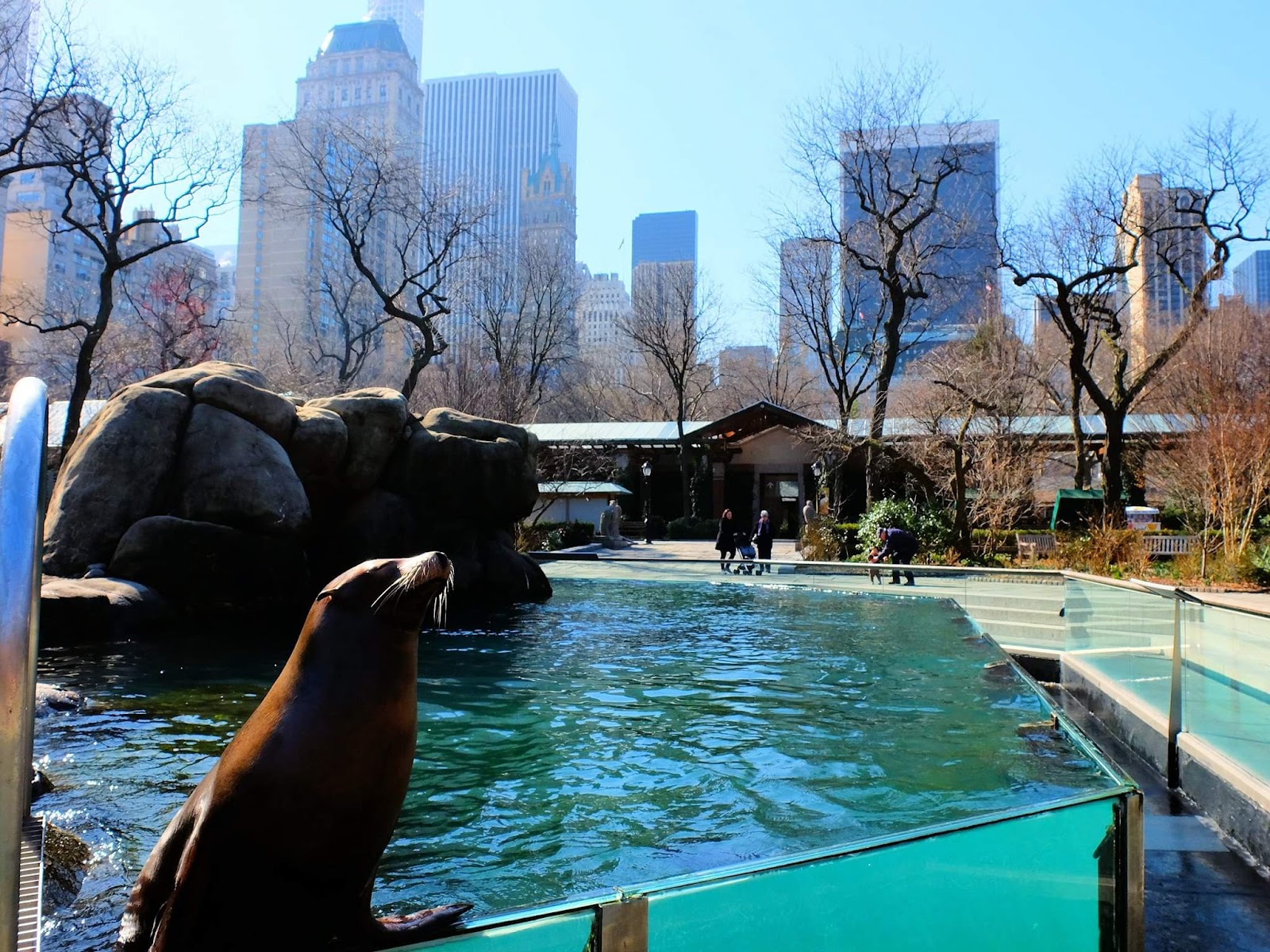 Zoológico do Central Park — Oficiais