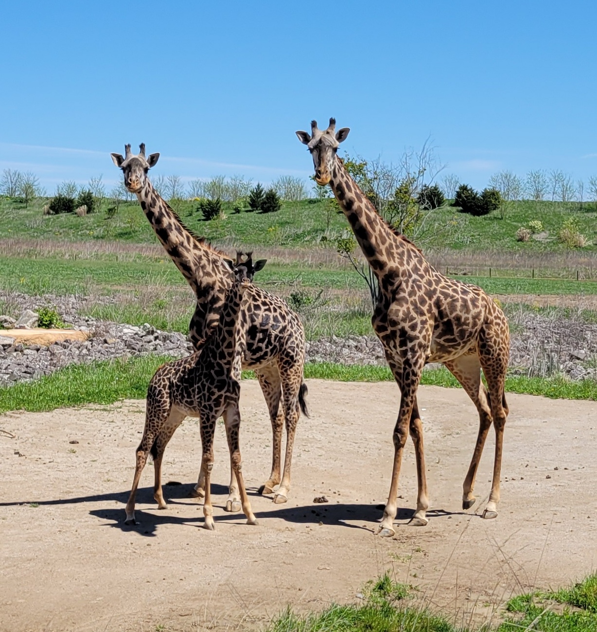Zoológico e Aquário de Columbus — Oficiais