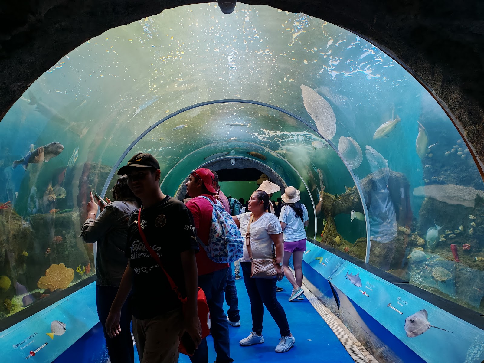 Zoologico Guadalajara — Oficiais
