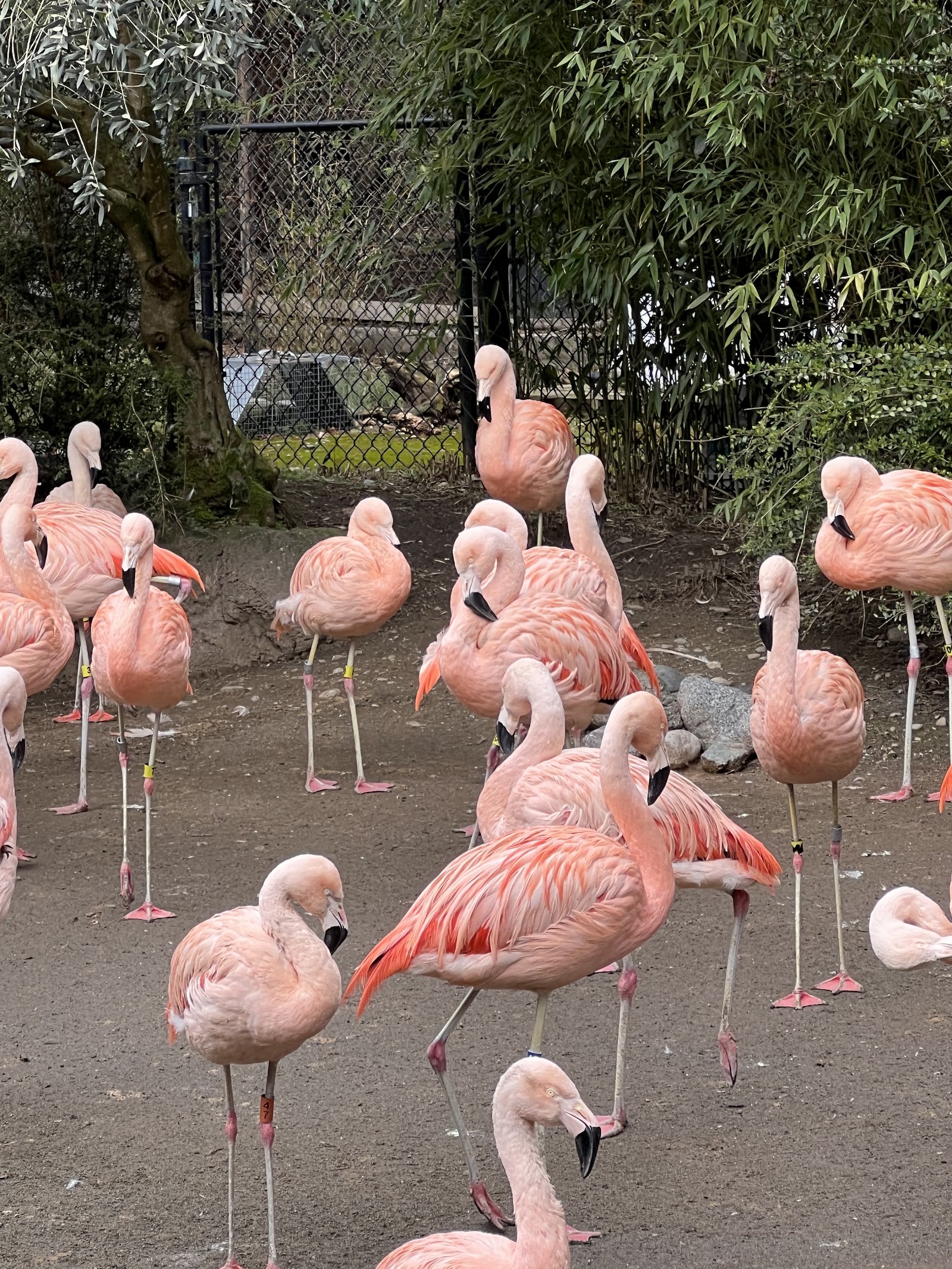 Zoológico Woodland Park — Oficiais