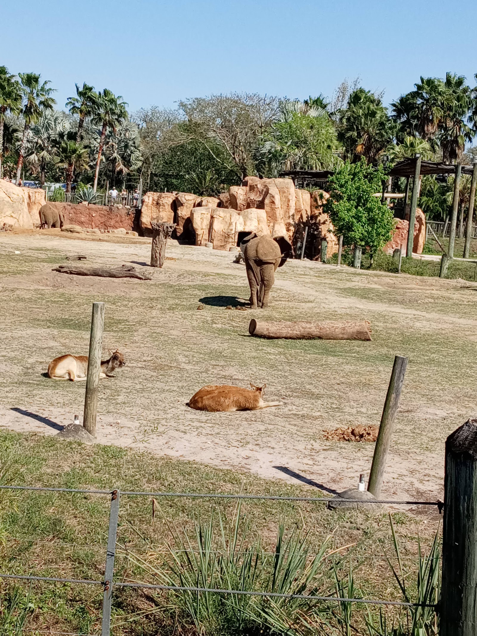 ZooTampa at Lowry Park — Oficiais